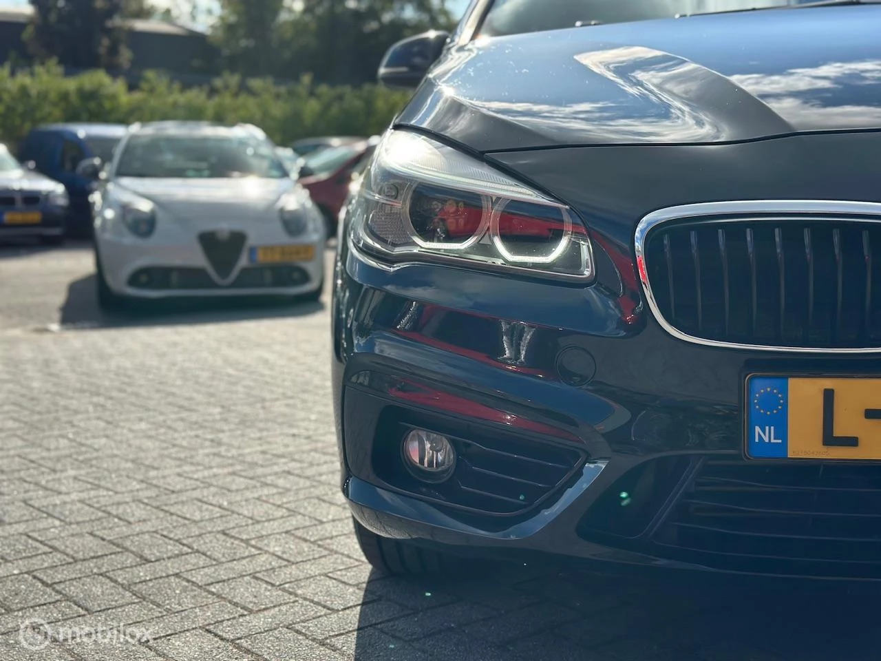 Hoofdafbeelding BMW 2 Serie