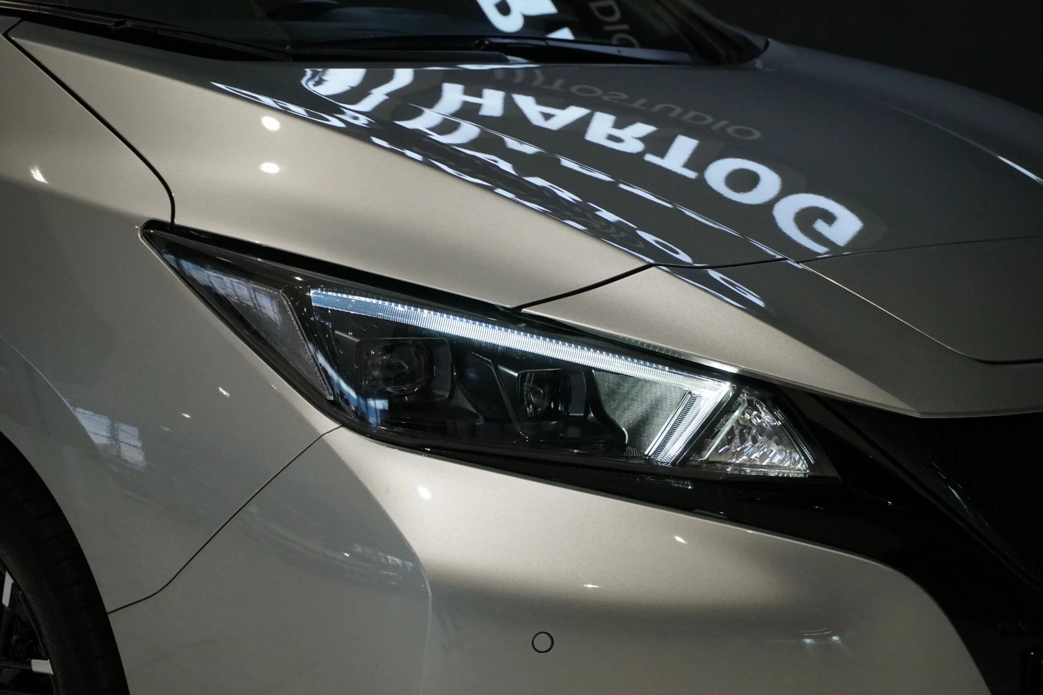 Hoofdafbeelding Nissan Leaf