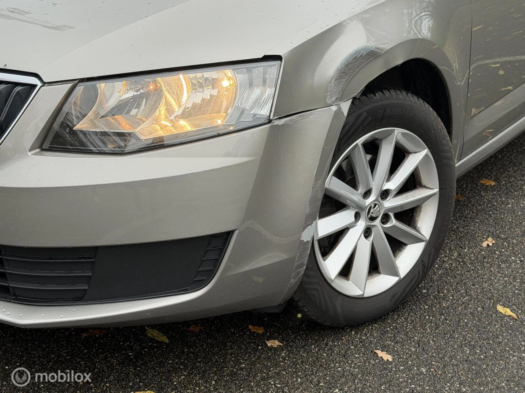 Hoofdafbeelding Škoda Octavia