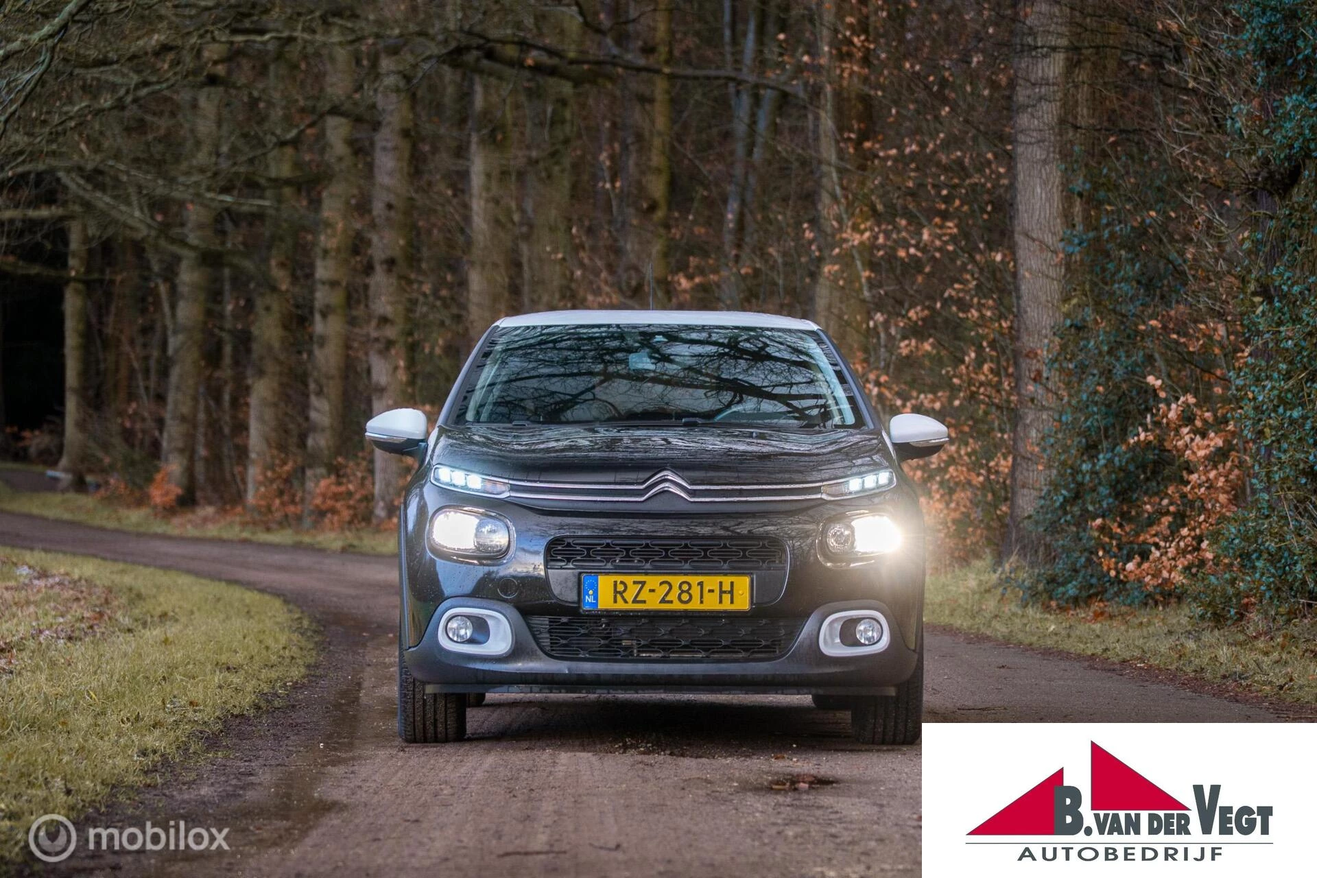 Hoofdafbeelding Citroën C3