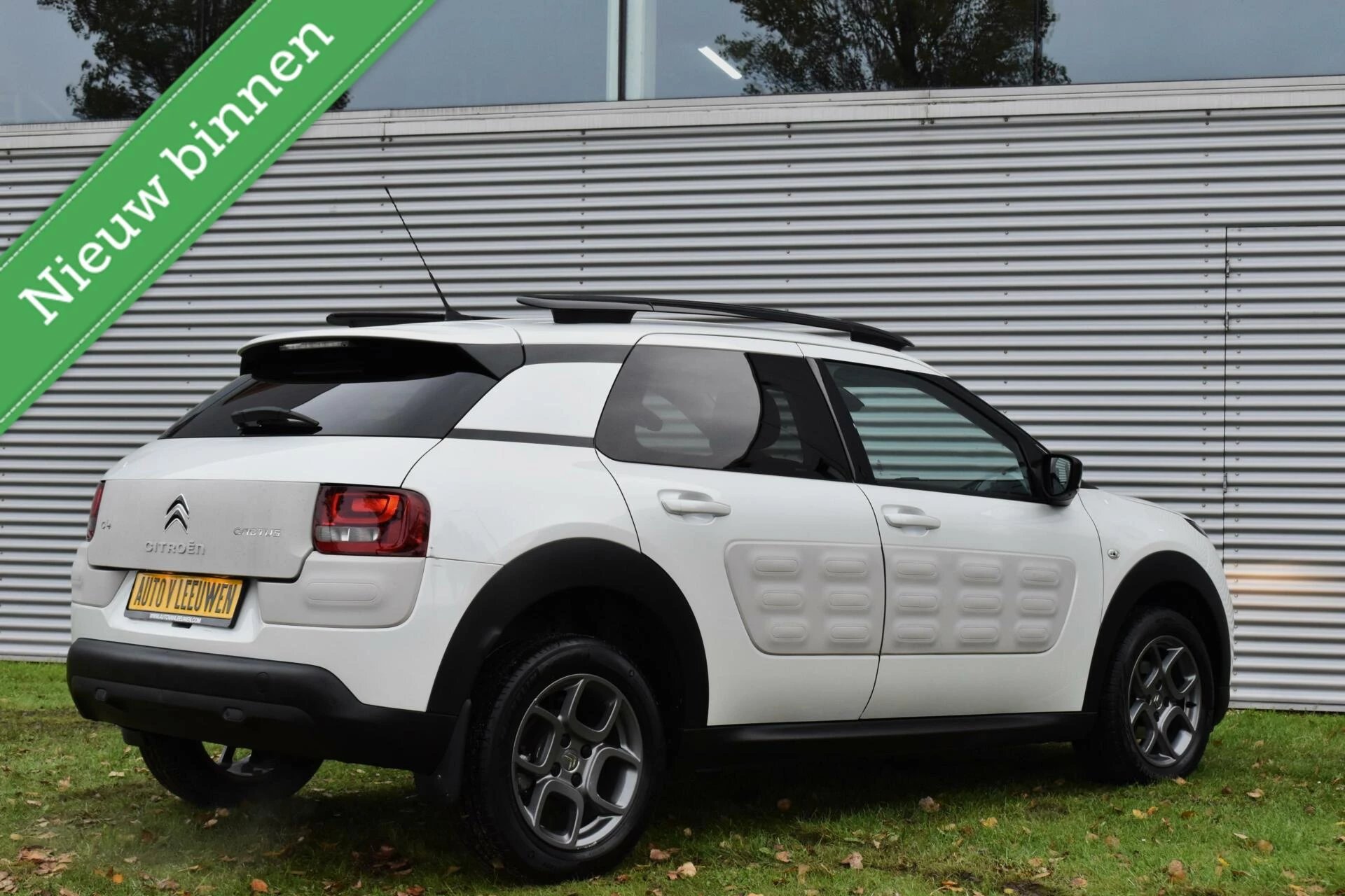 Hoofdafbeelding Citroën C4 Cactus