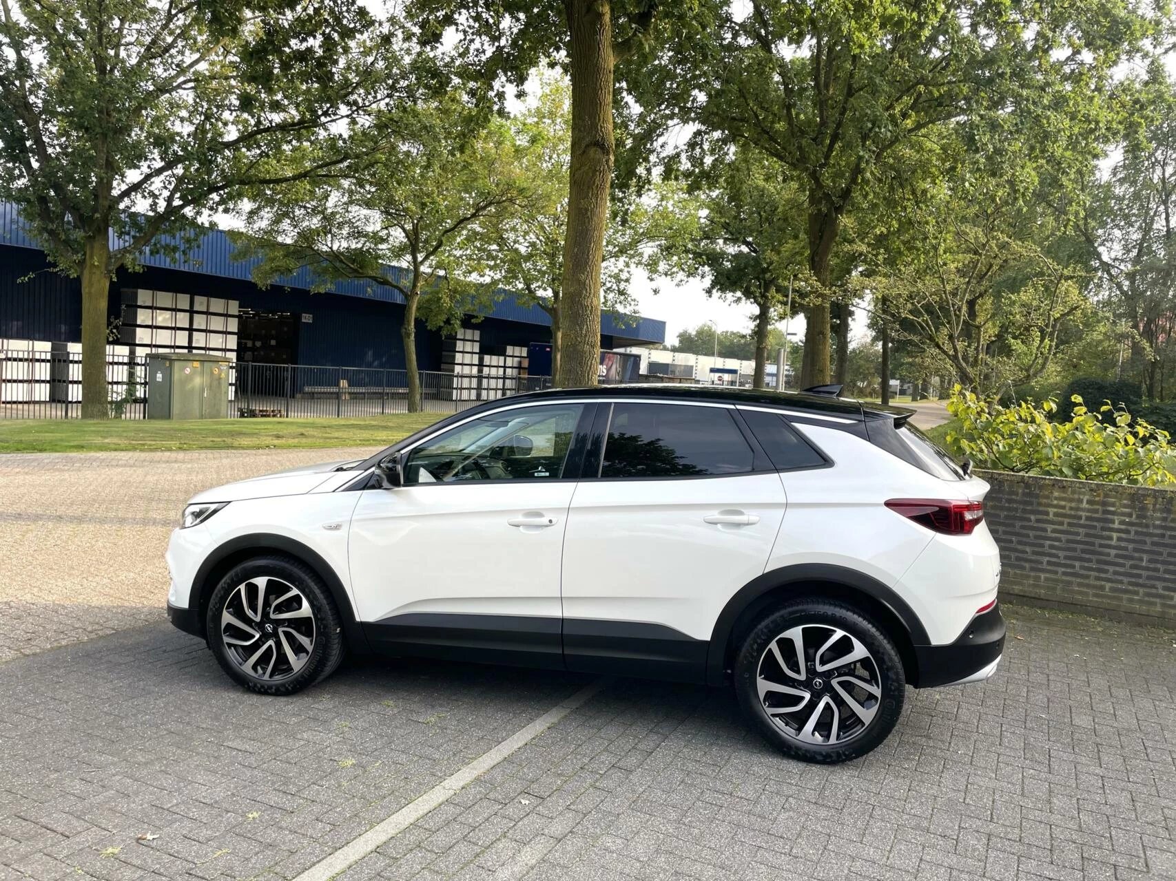 Hoofdafbeelding Opel Grandland X