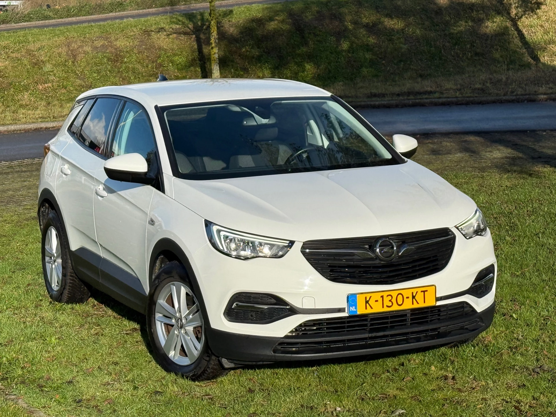 Hoofdafbeelding Opel Grandland X