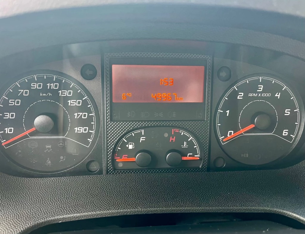 Hoofdafbeelding McLouis YEARLING