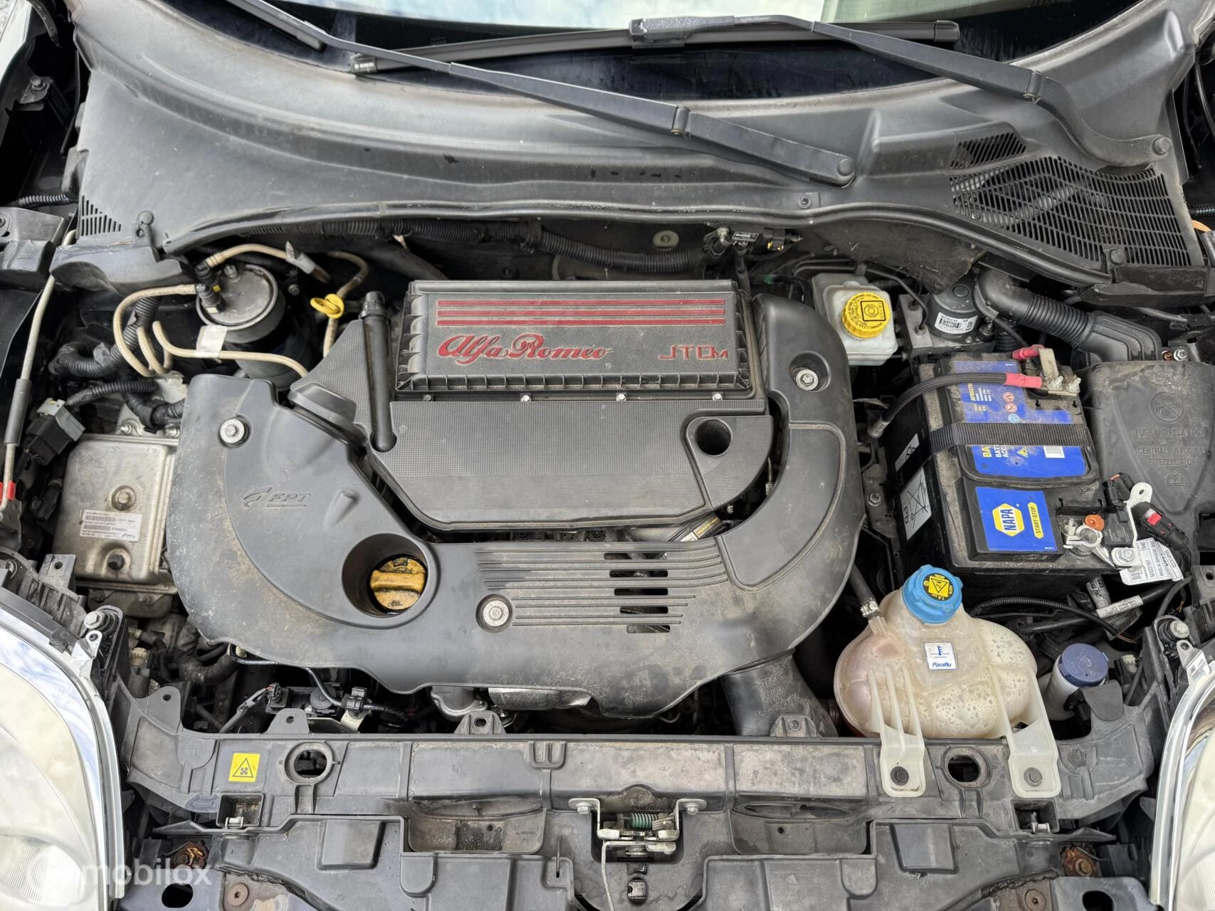 Hoofdafbeelding Alfa Romeo MiTo