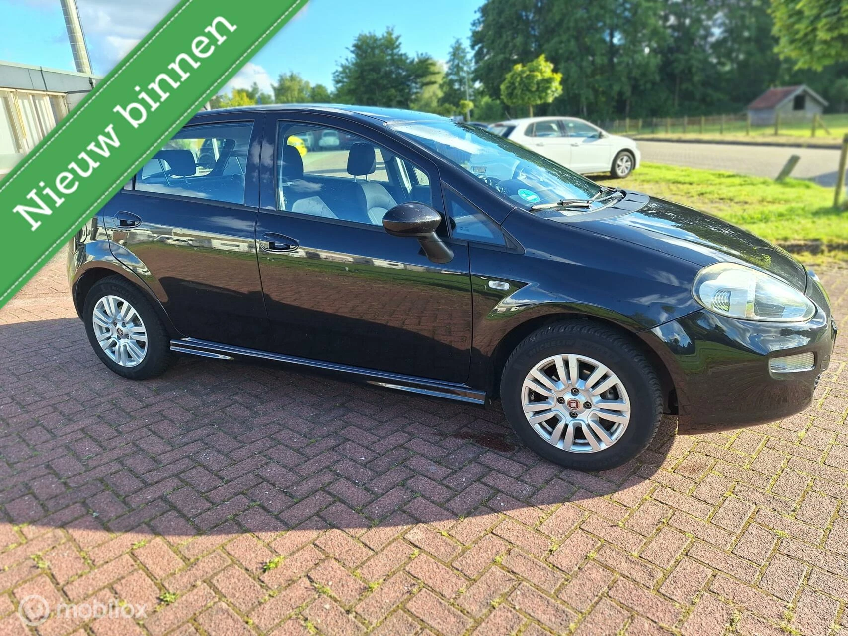 Hoofdafbeelding Fiat Punto