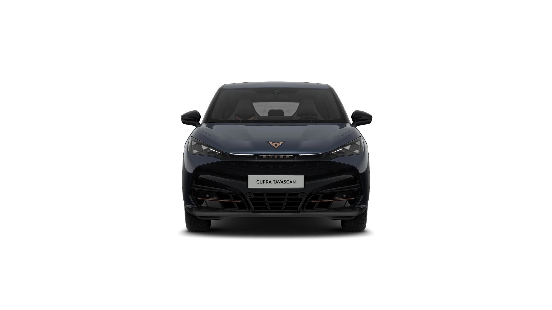 Hoofdafbeelding CUPRA Tavascan