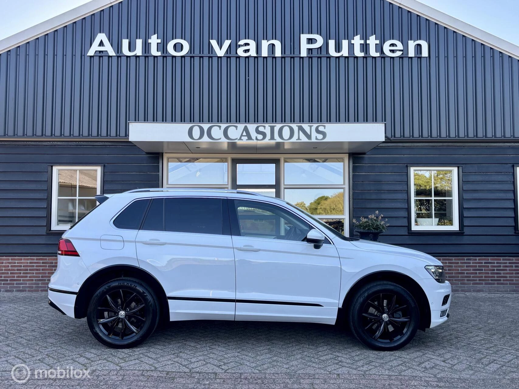 Hoofdafbeelding Volkswagen Tiguan