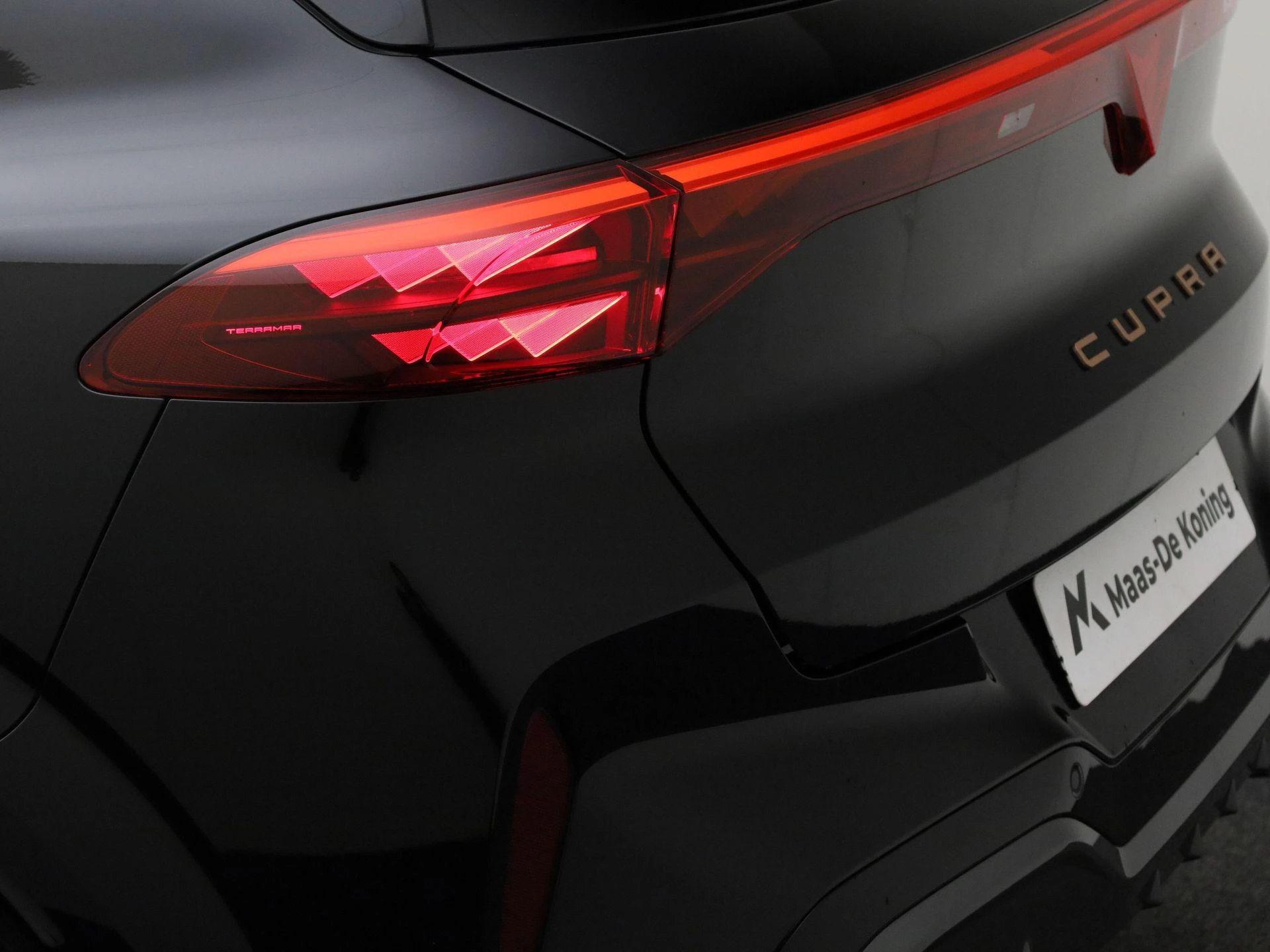 Hoofdafbeelding CUPRA Terramar