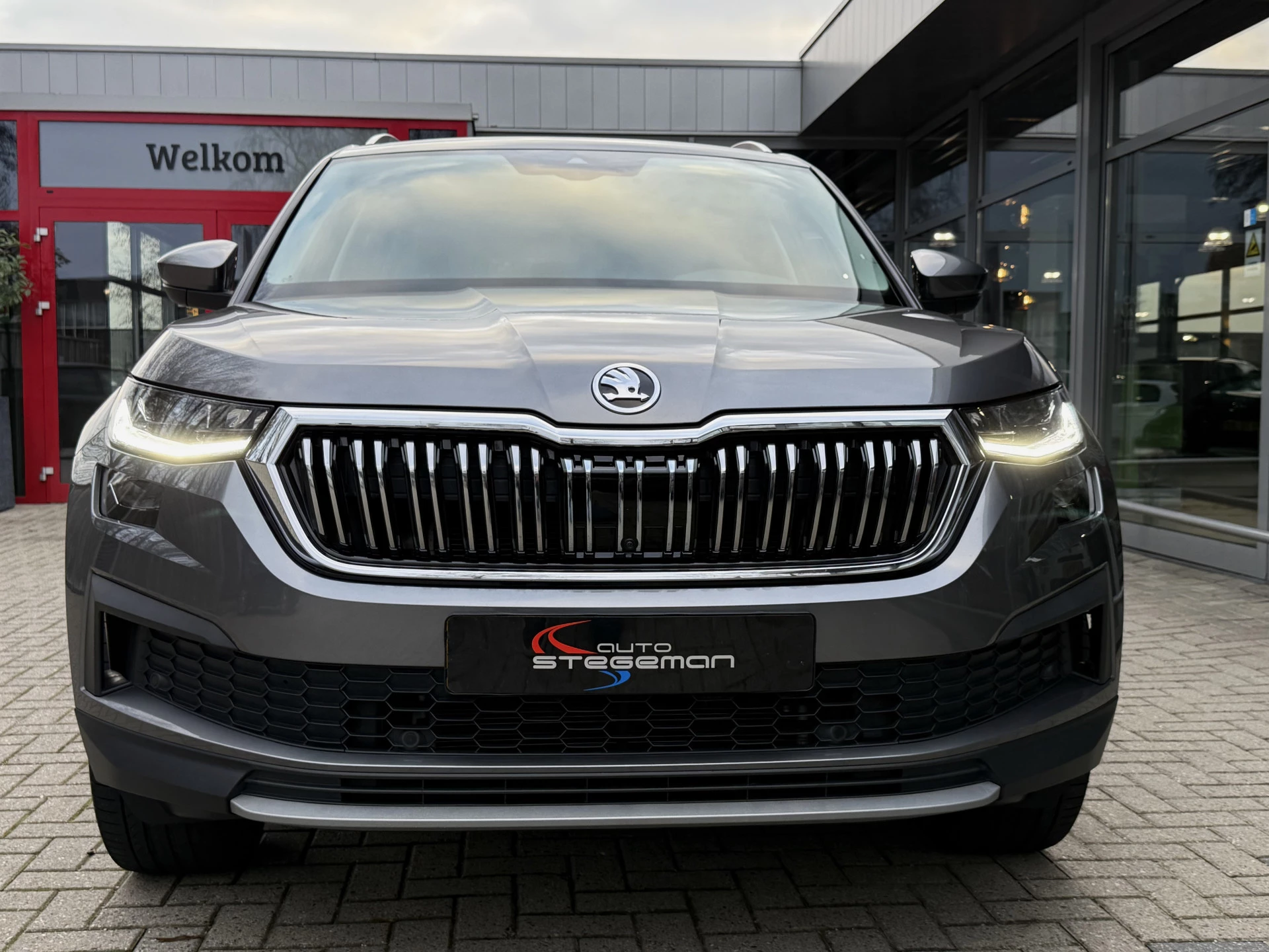 Hoofdafbeelding Škoda Kodiaq