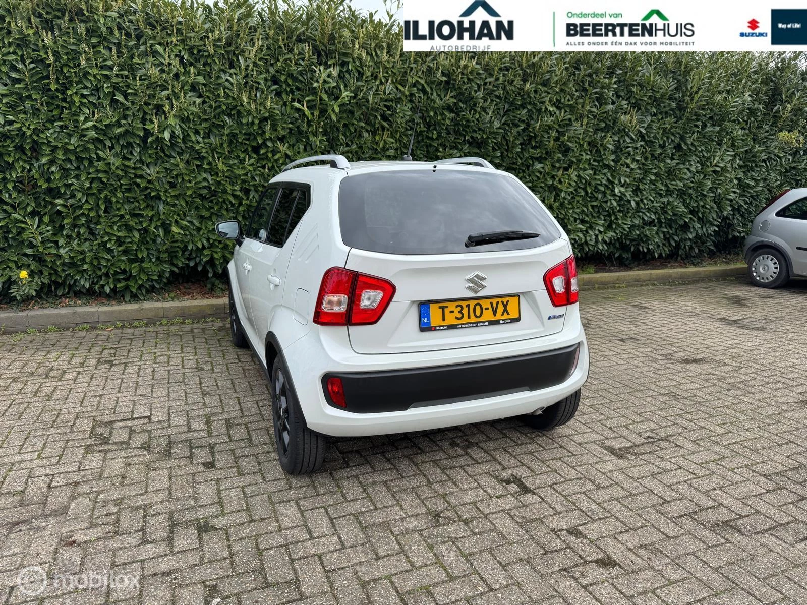Hoofdafbeelding Suzuki Ignis