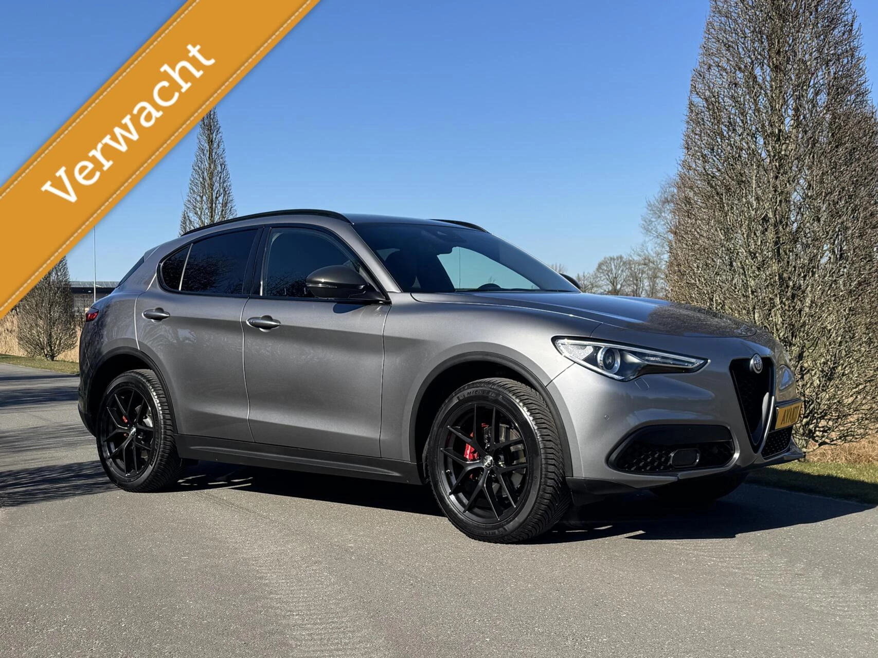 Hoofdafbeelding Alfa Romeo Stelvio