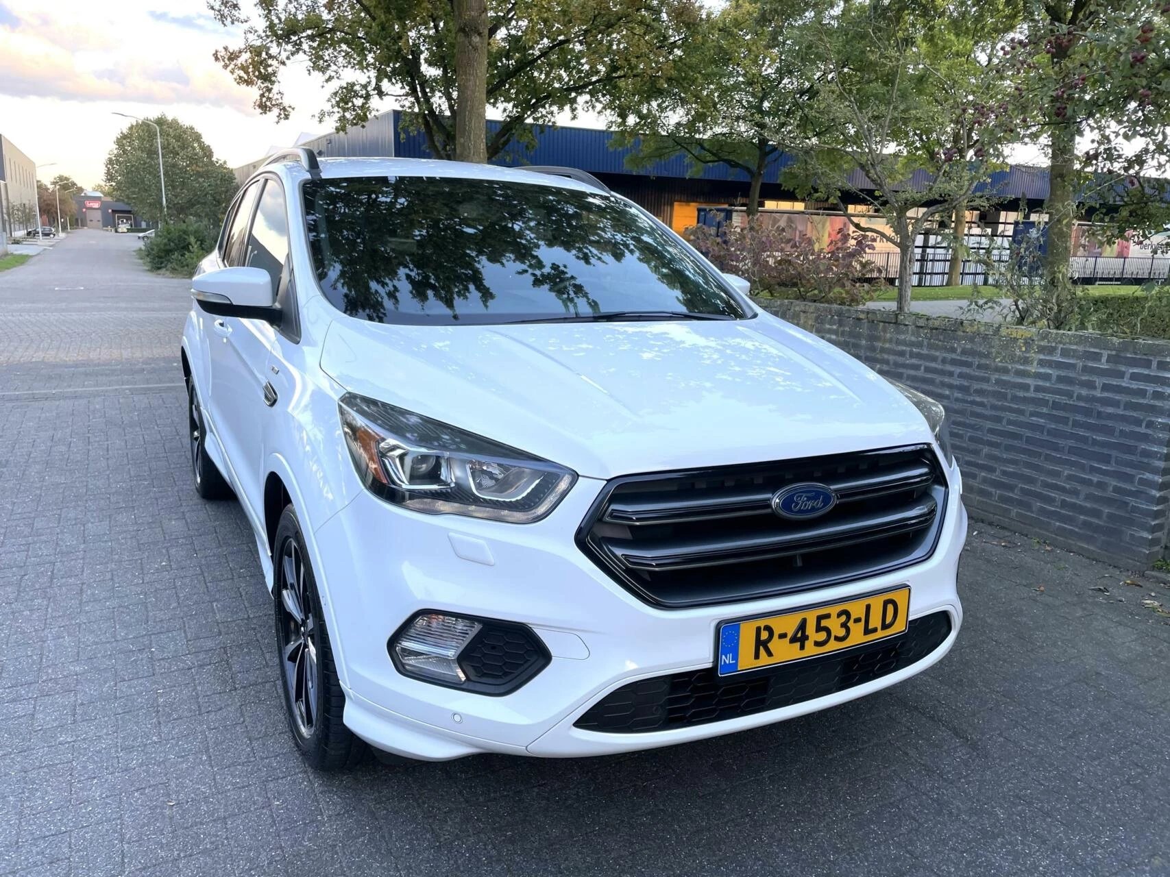 Hoofdafbeelding Ford Kuga