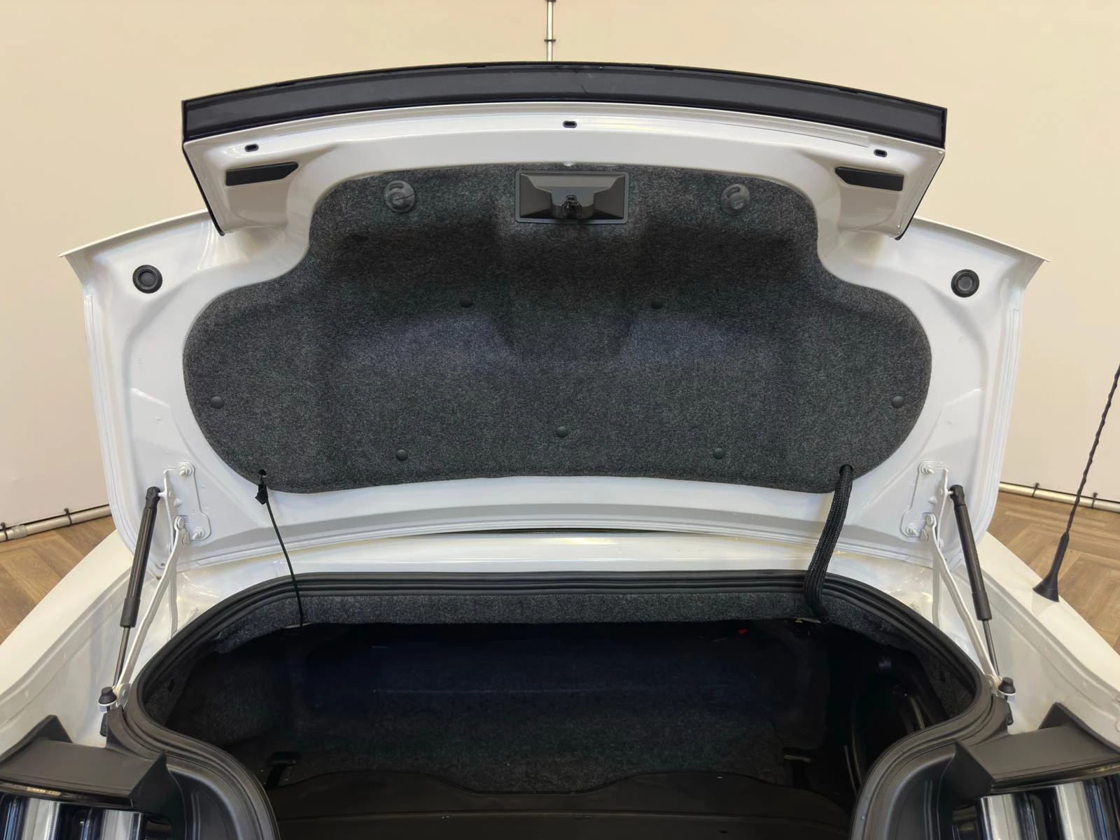 Hoofdafbeelding Ford Mustang