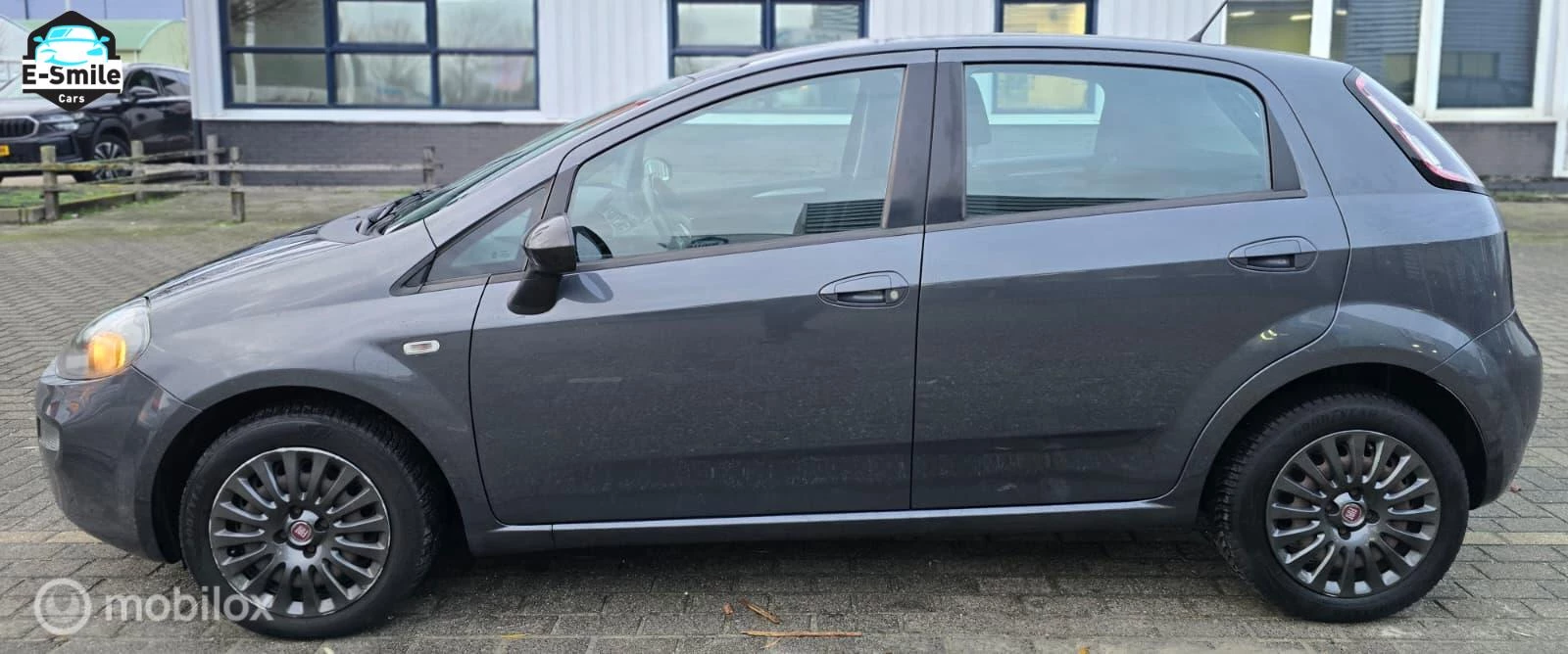 Hoofdafbeelding Fiat Punto