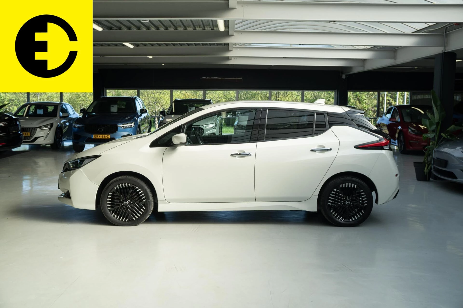 Hoofdafbeelding Nissan Leaf