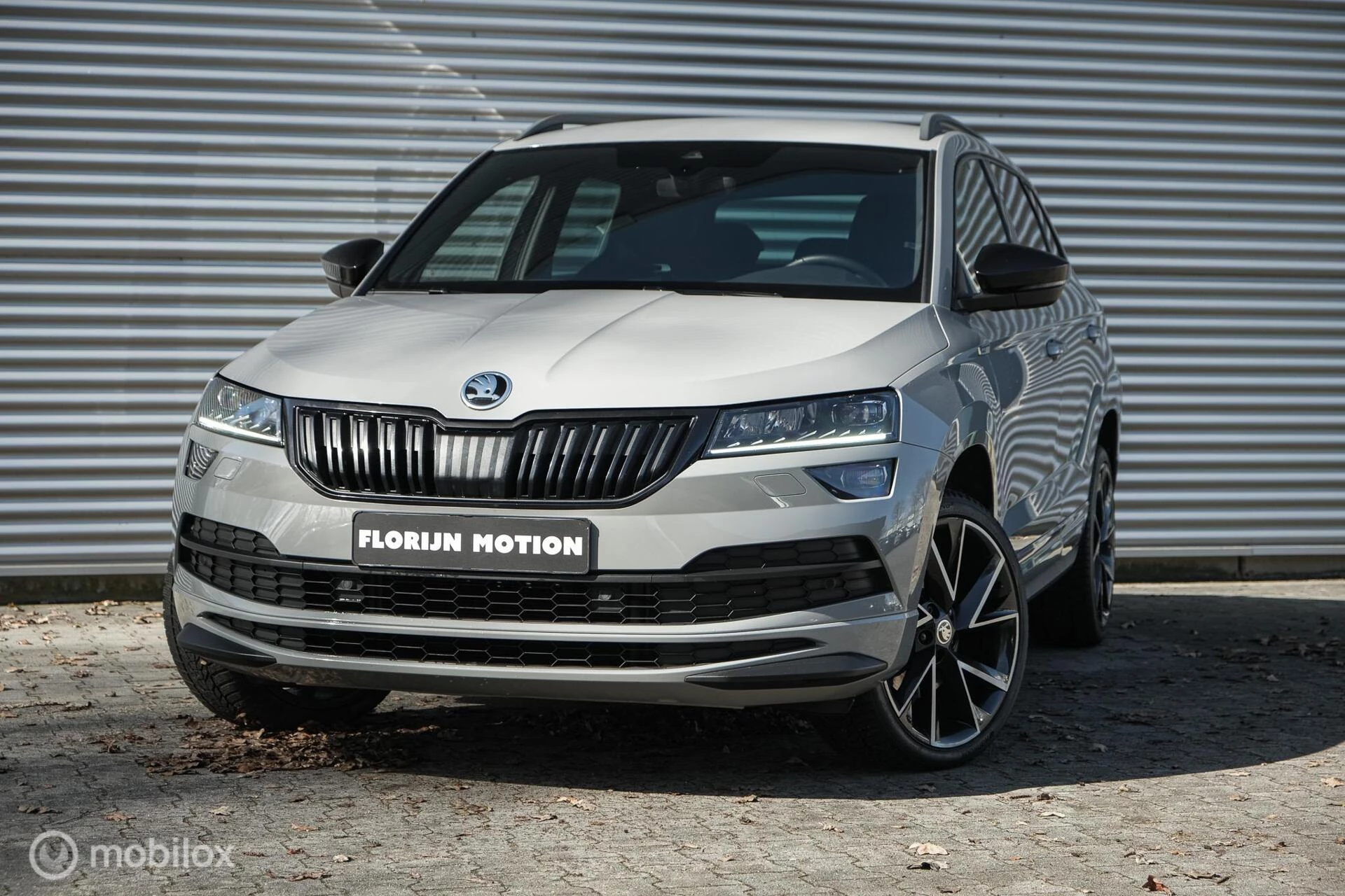 Hoofdafbeelding Škoda Karoq