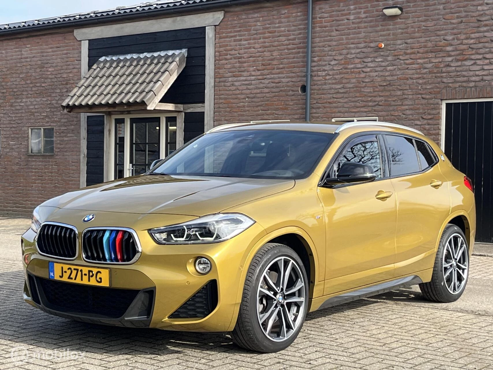 Hoofdafbeelding BMW X2