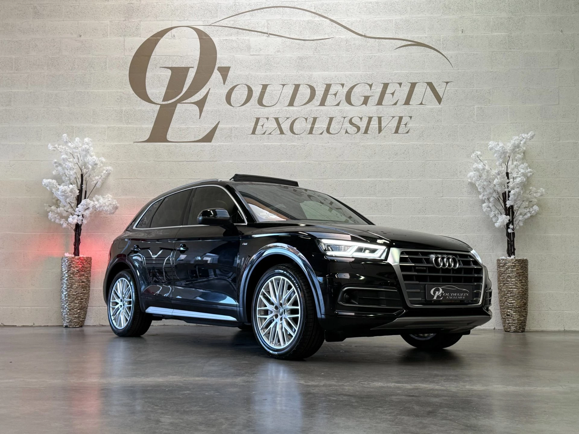 Hoofdafbeelding Audi Q5