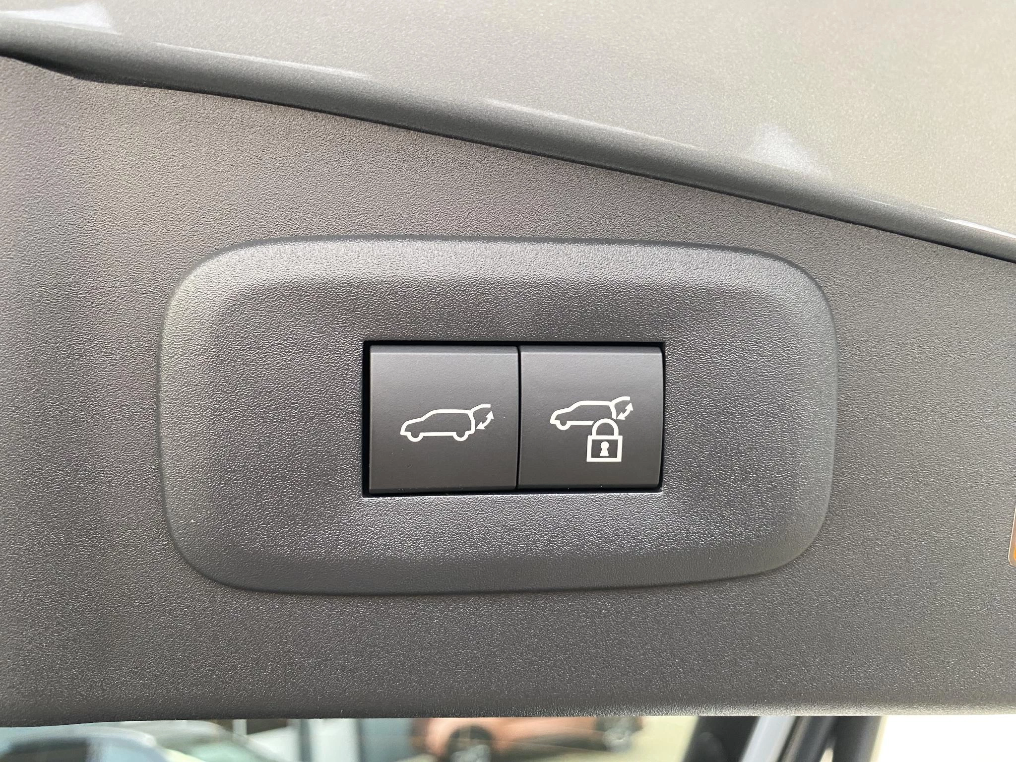 Hoofdafbeelding Lexus RZ