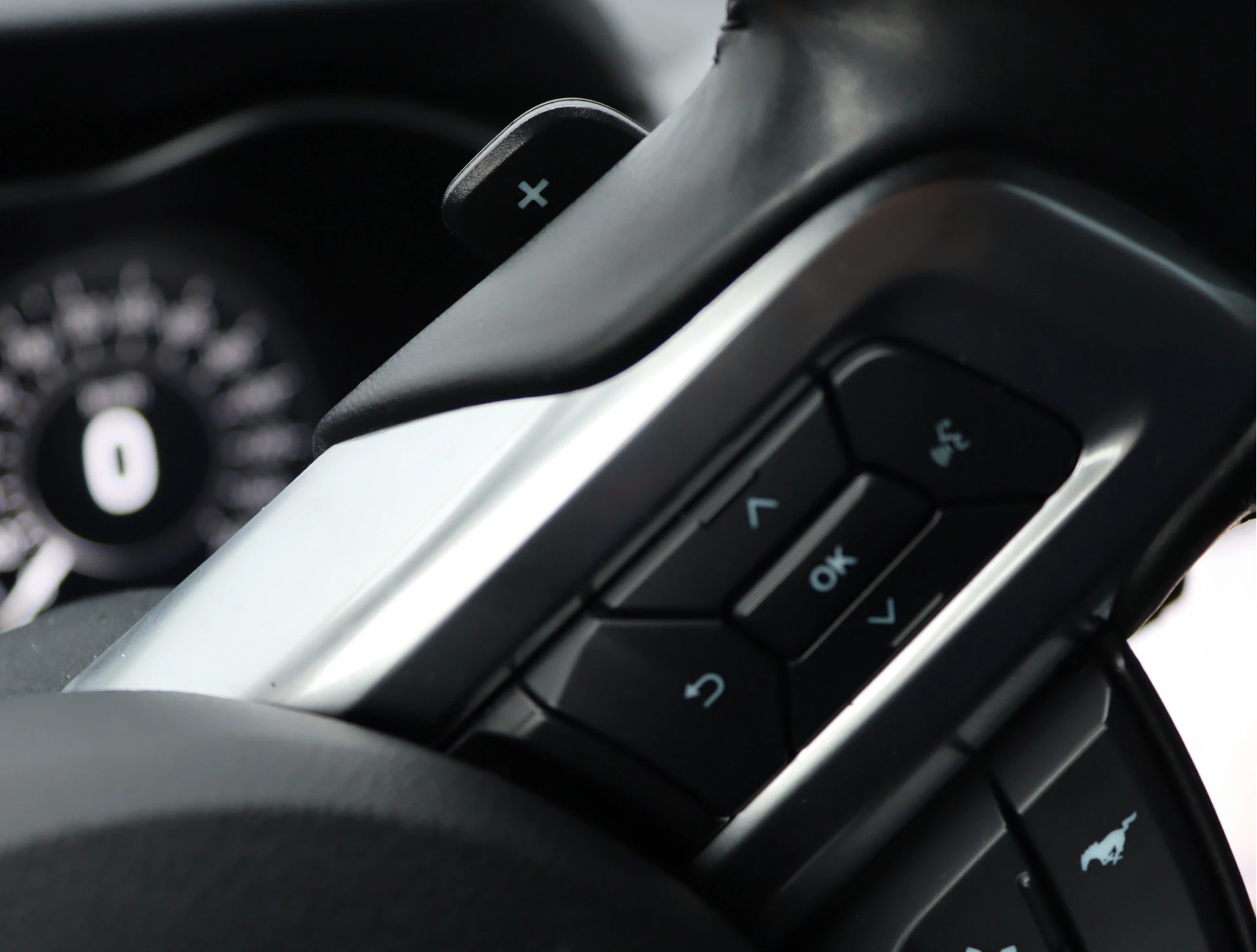 Hoofdafbeelding Ford Mustang