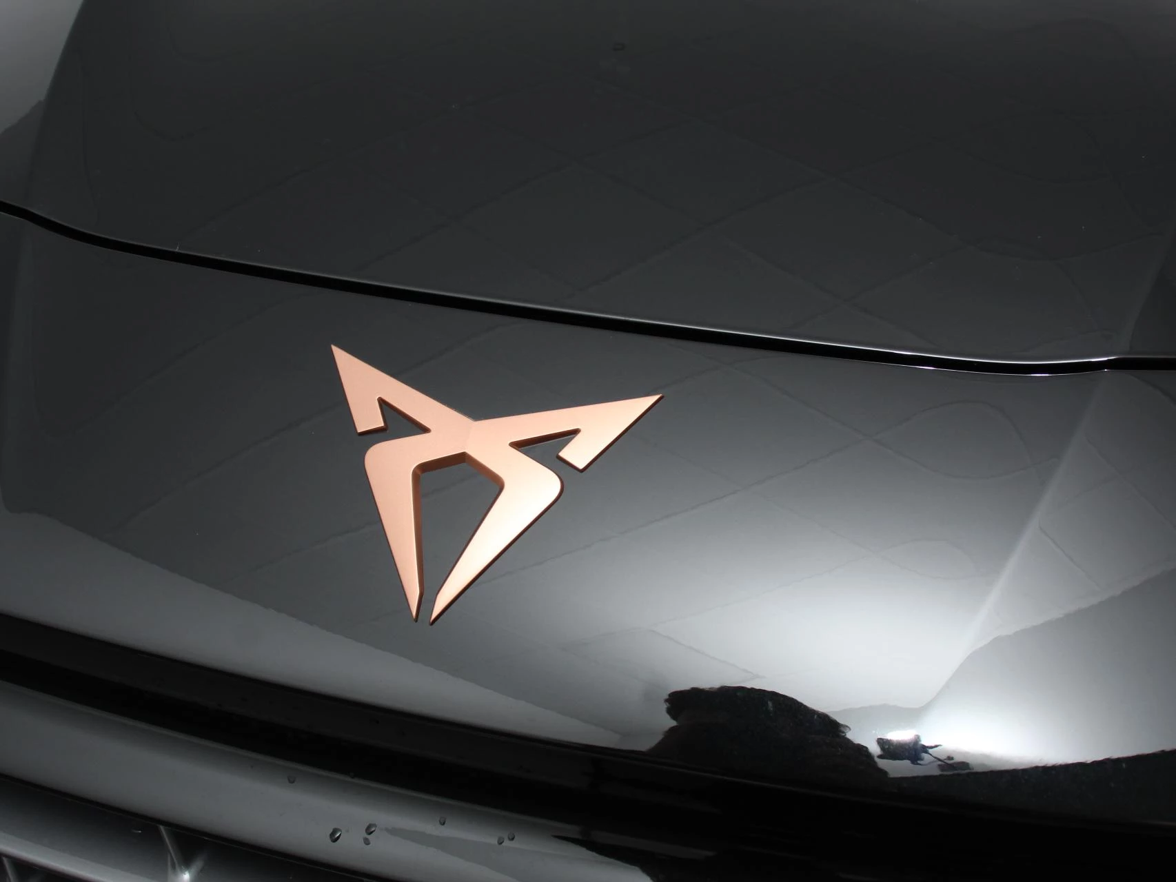 Hoofdafbeelding CUPRA Terramar
