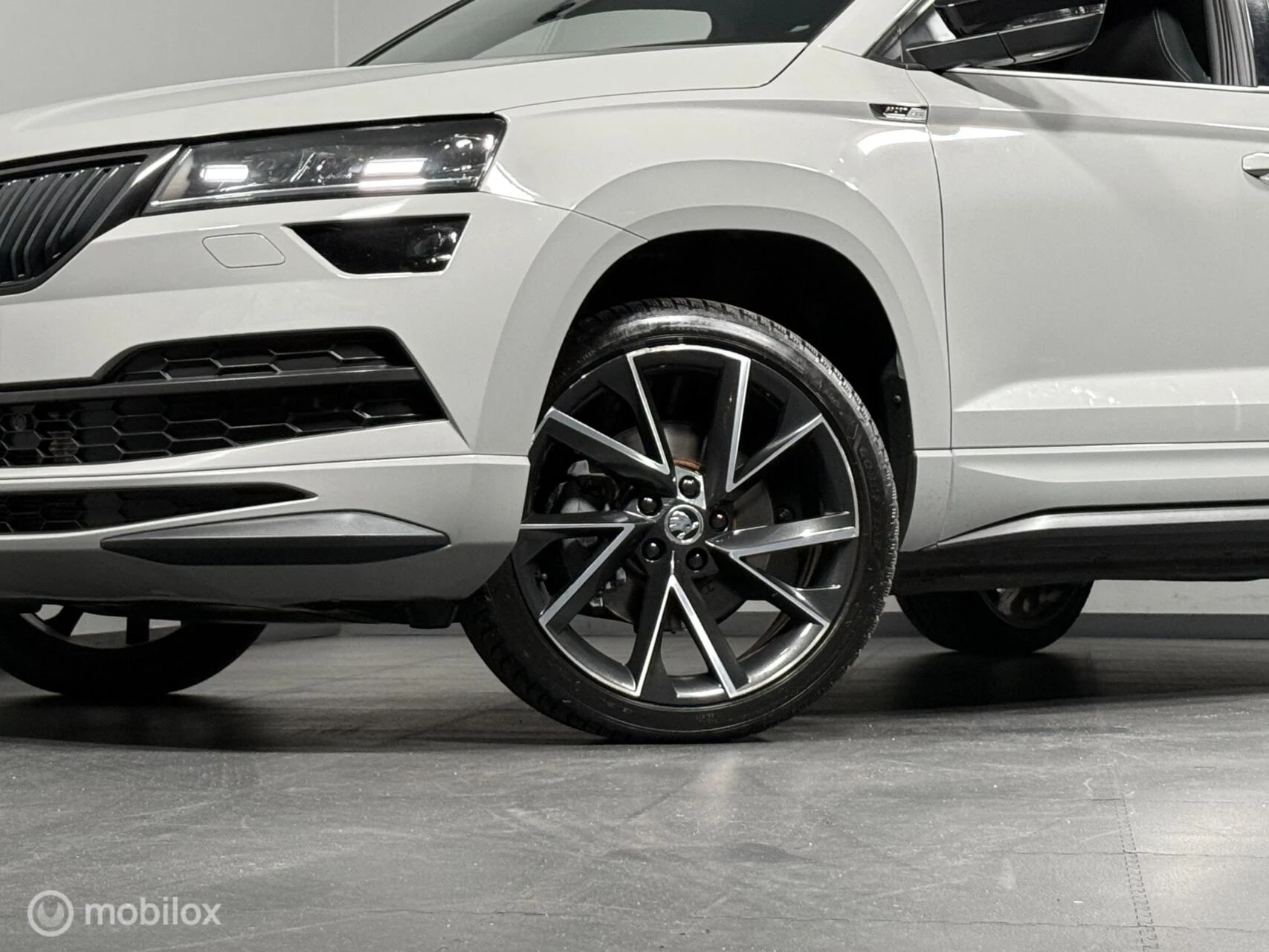 Hoofdafbeelding Škoda Karoq