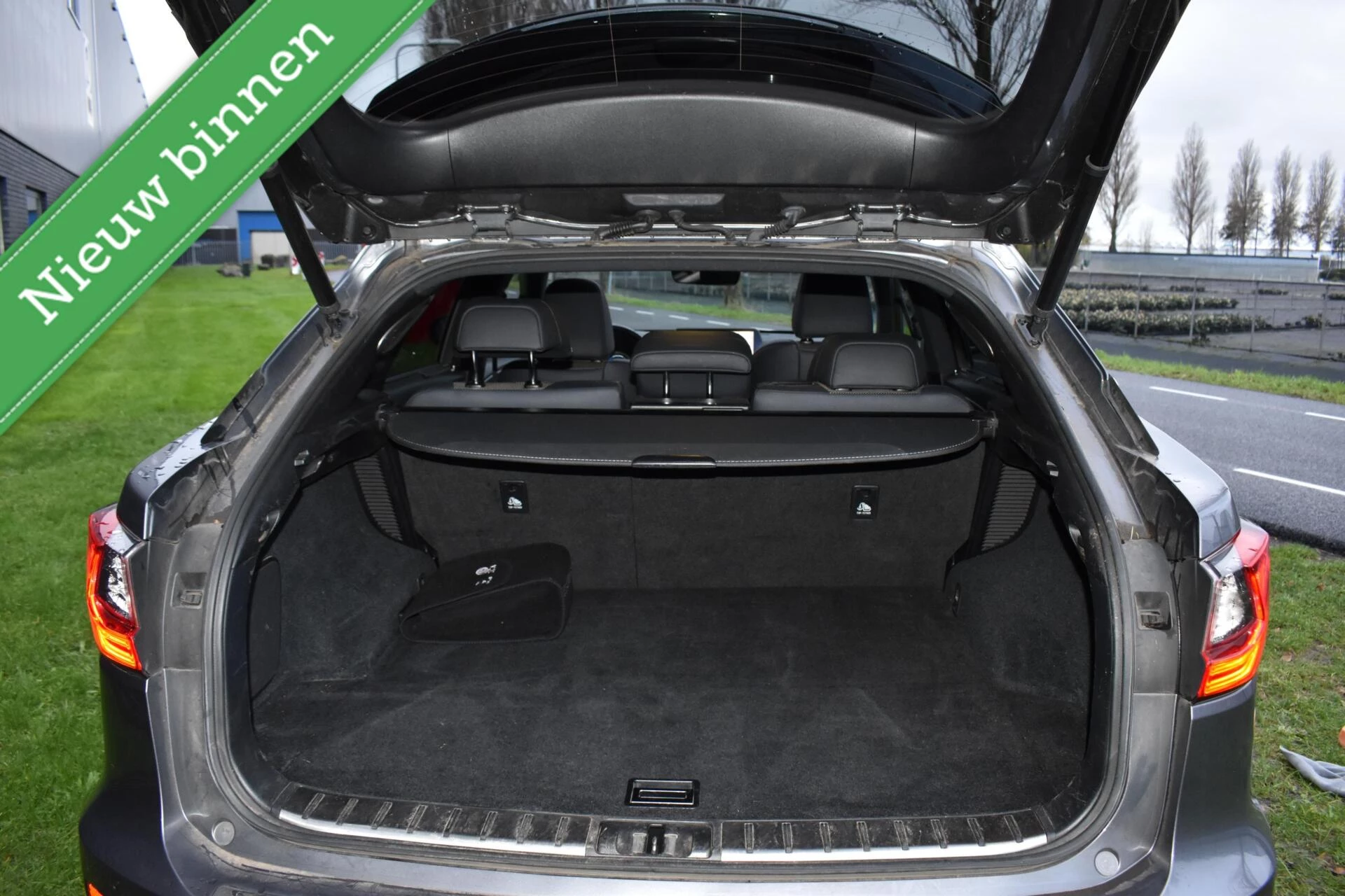 Hoofdafbeelding Lexus RX