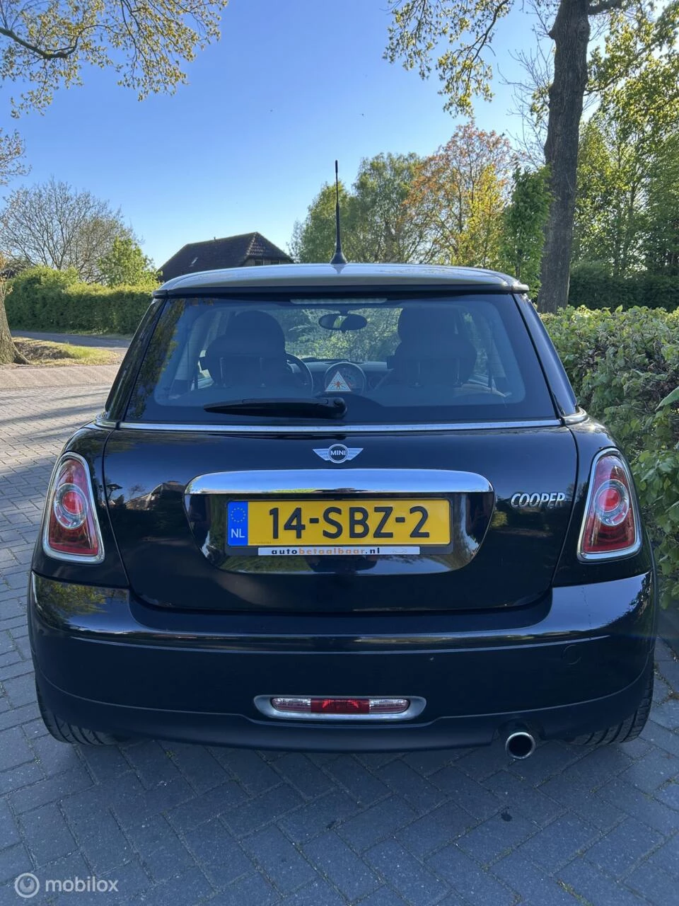 Hoofdafbeelding MINI Cooper