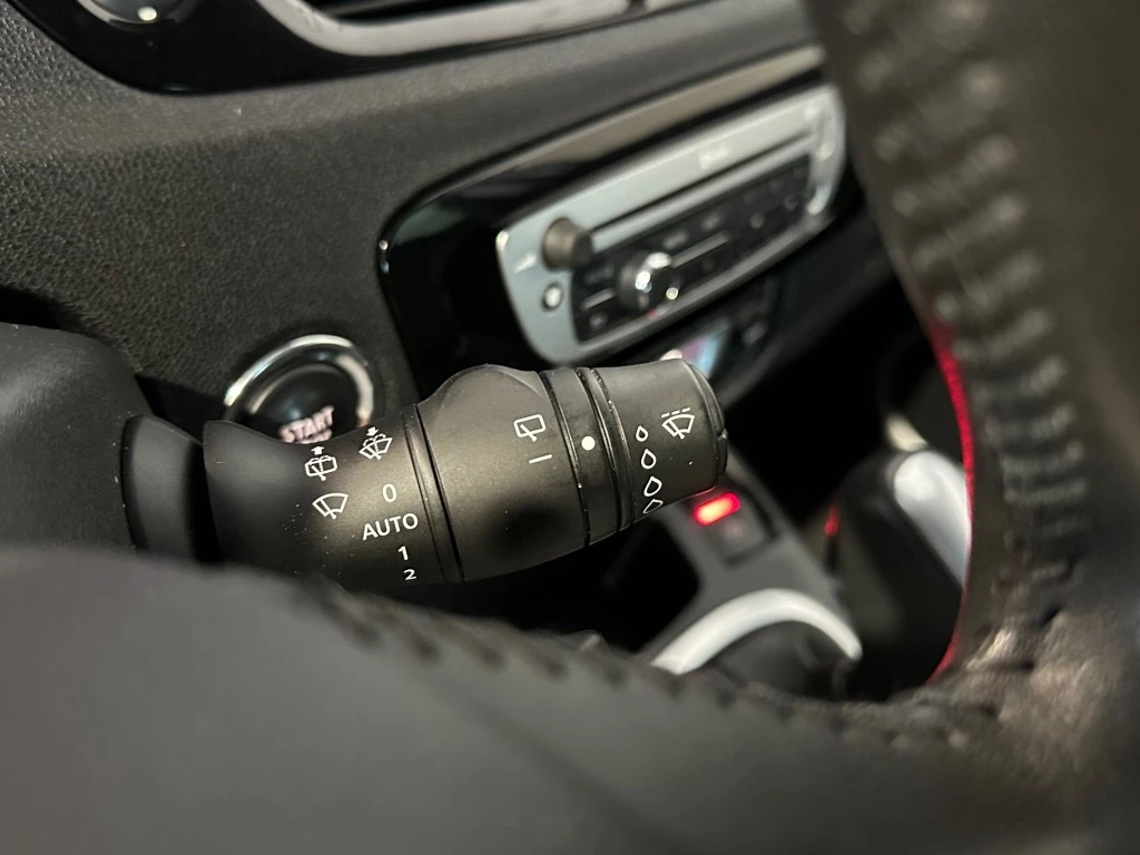 Hoofdafbeelding Renault Scénic