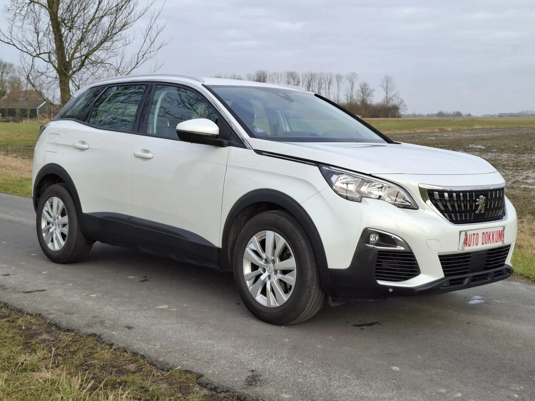 Hoofdafbeelding Peugeot 3008