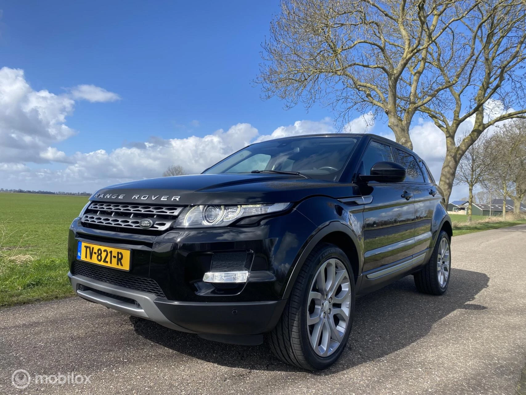 Hoofdafbeelding Land Rover Range Rover Evoque