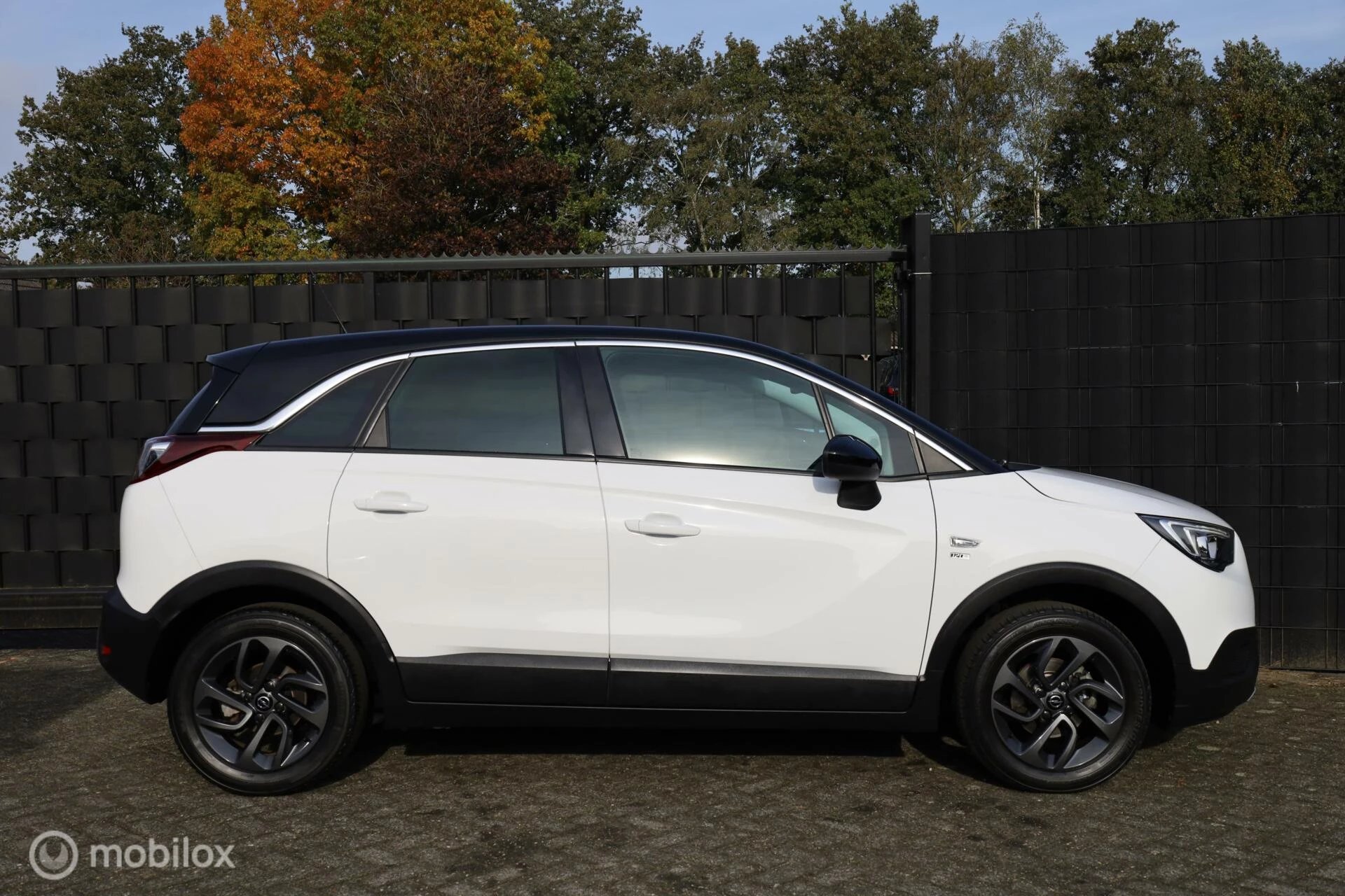 Hoofdafbeelding Opel Crossland X