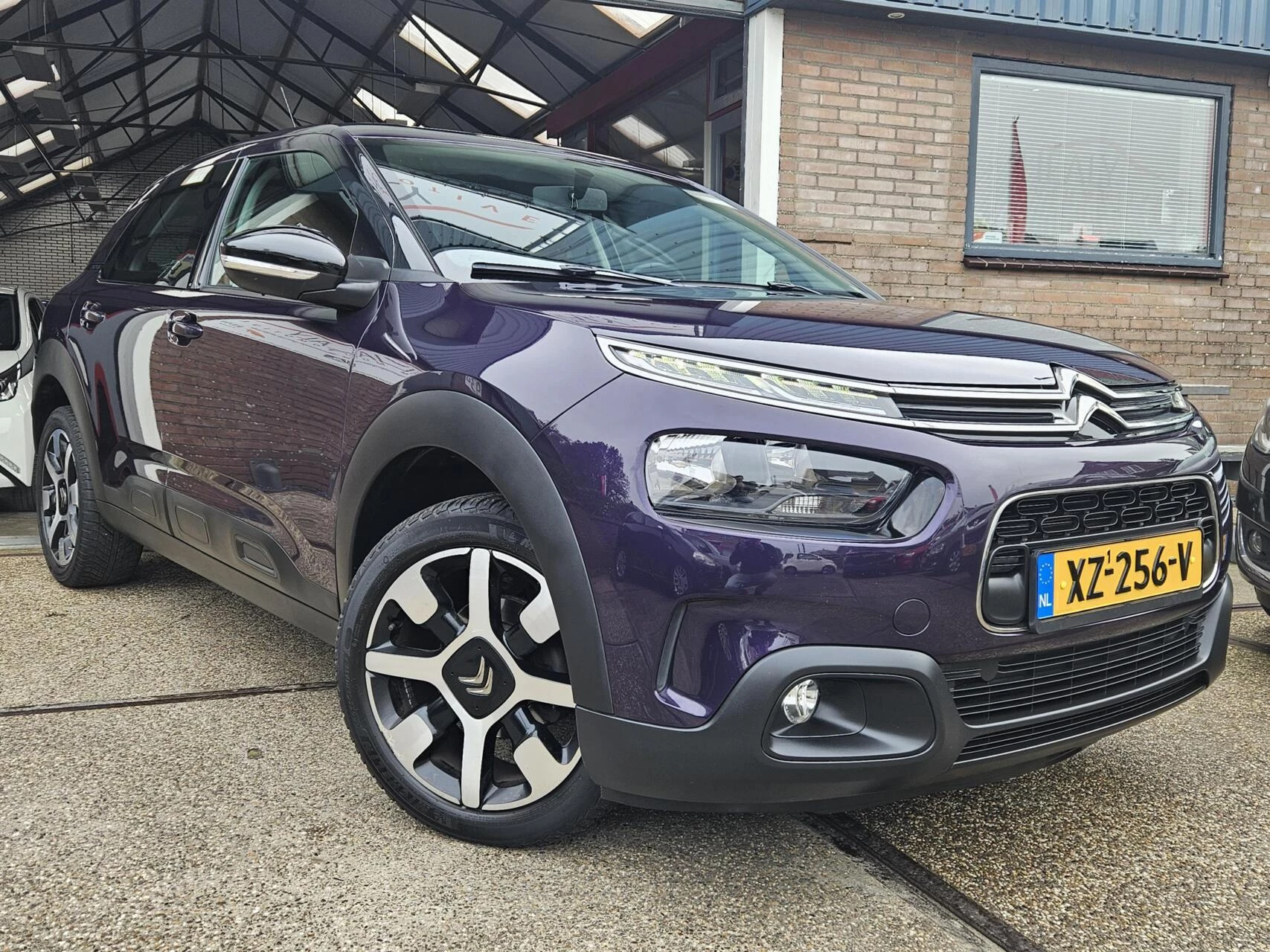 Hoofdafbeelding Citroën C4 Cactus