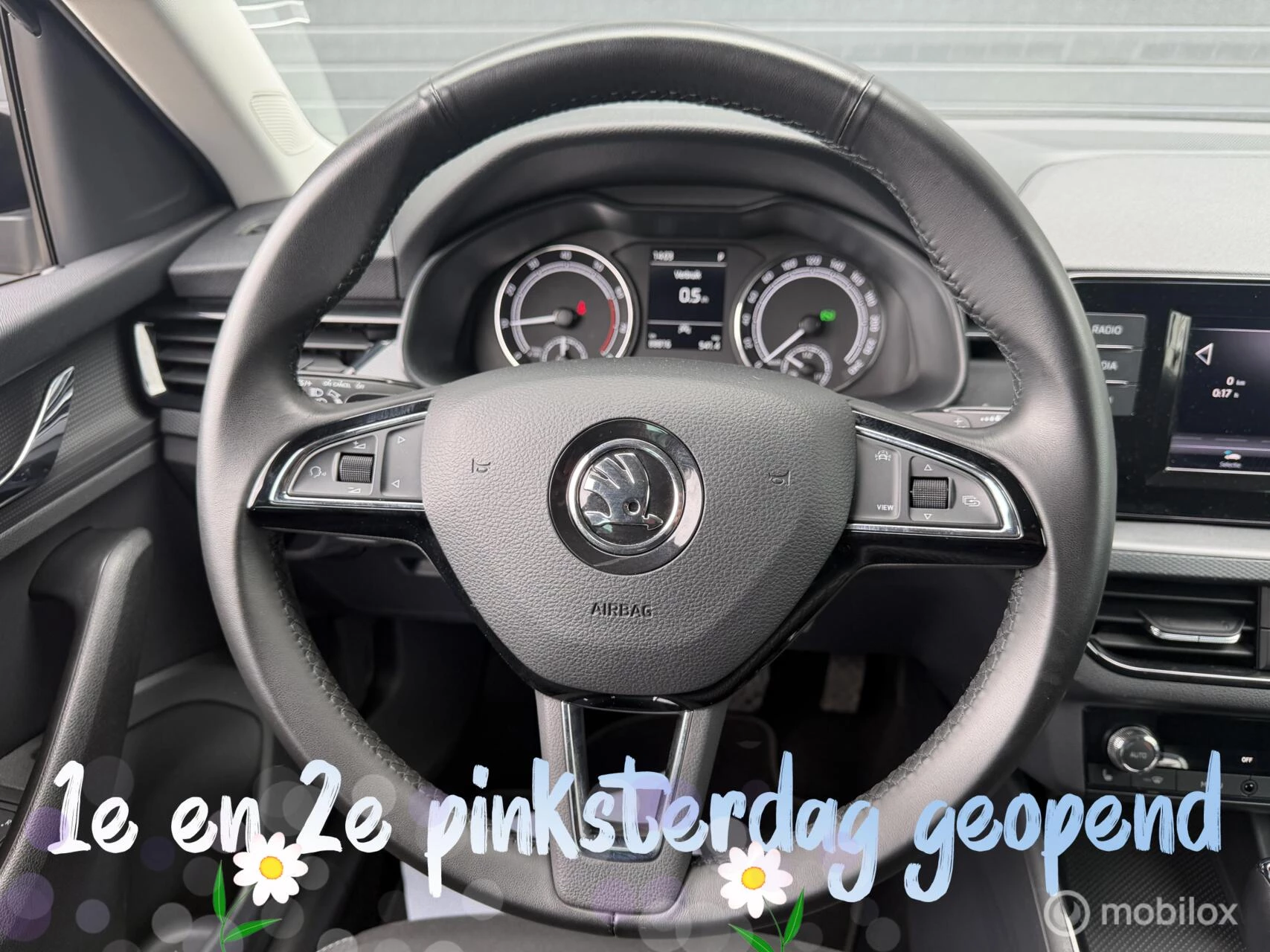 Hoofdafbeelding Škoda Kamiq