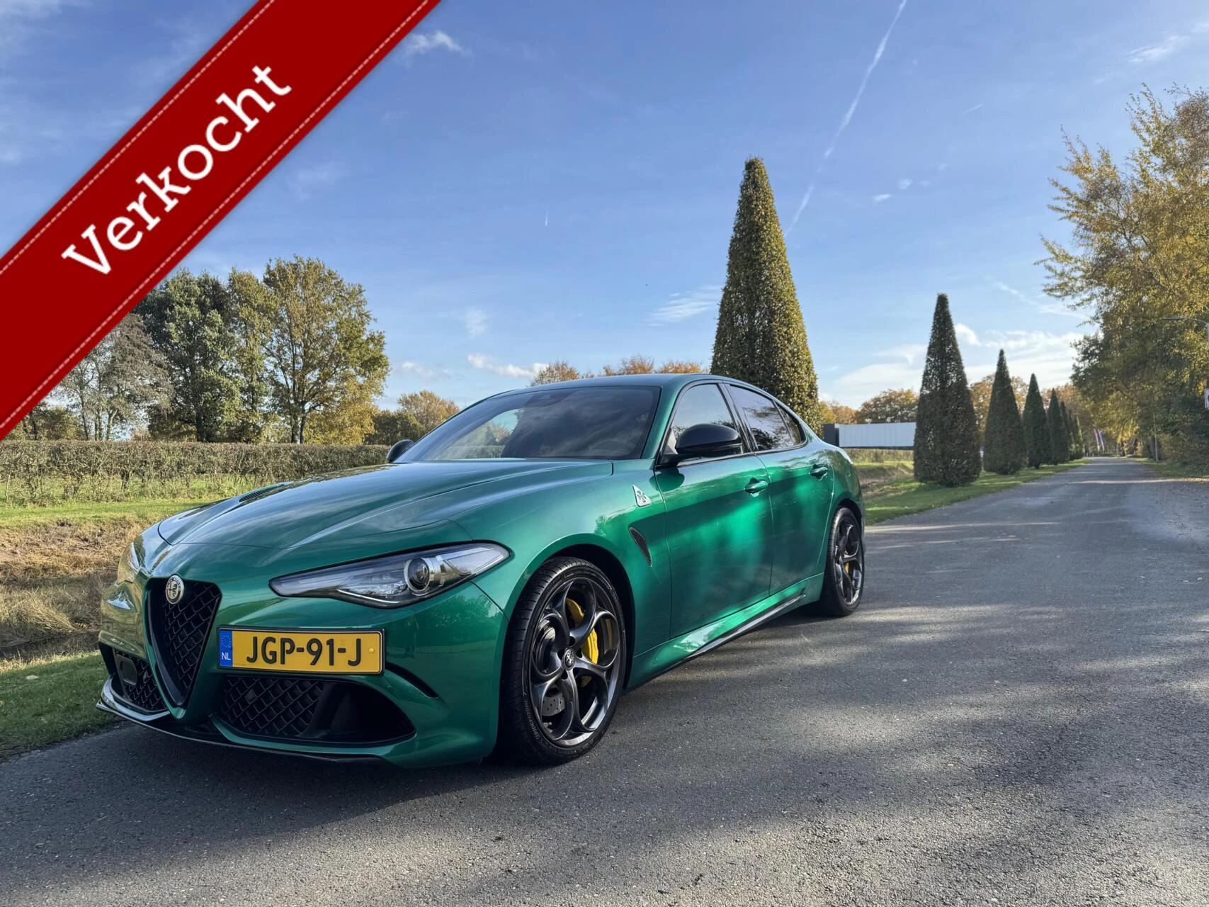 Hoofdafbeelding Alfa Romeo Giulia