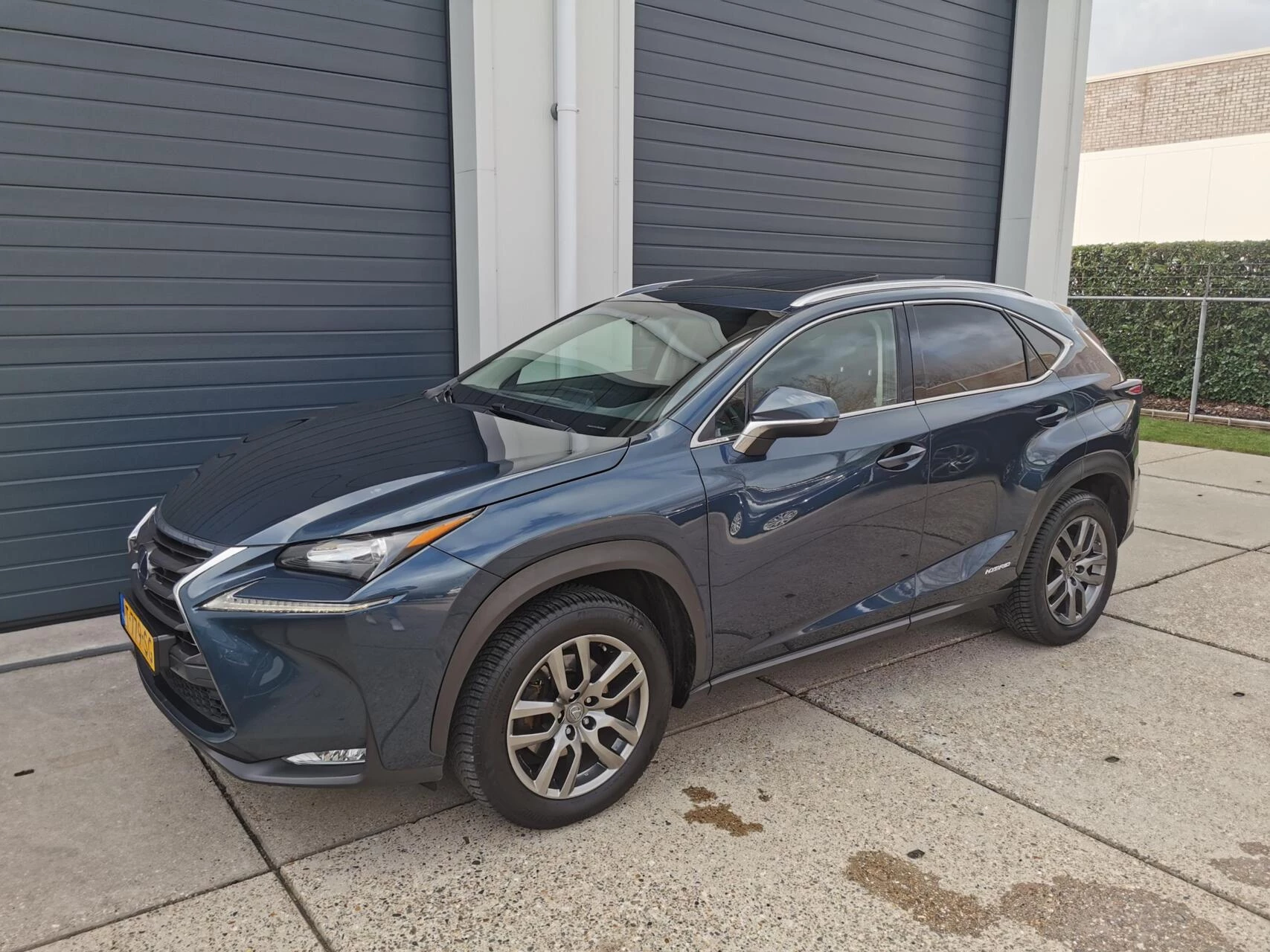 Hoofdafbeelding Lexus NX