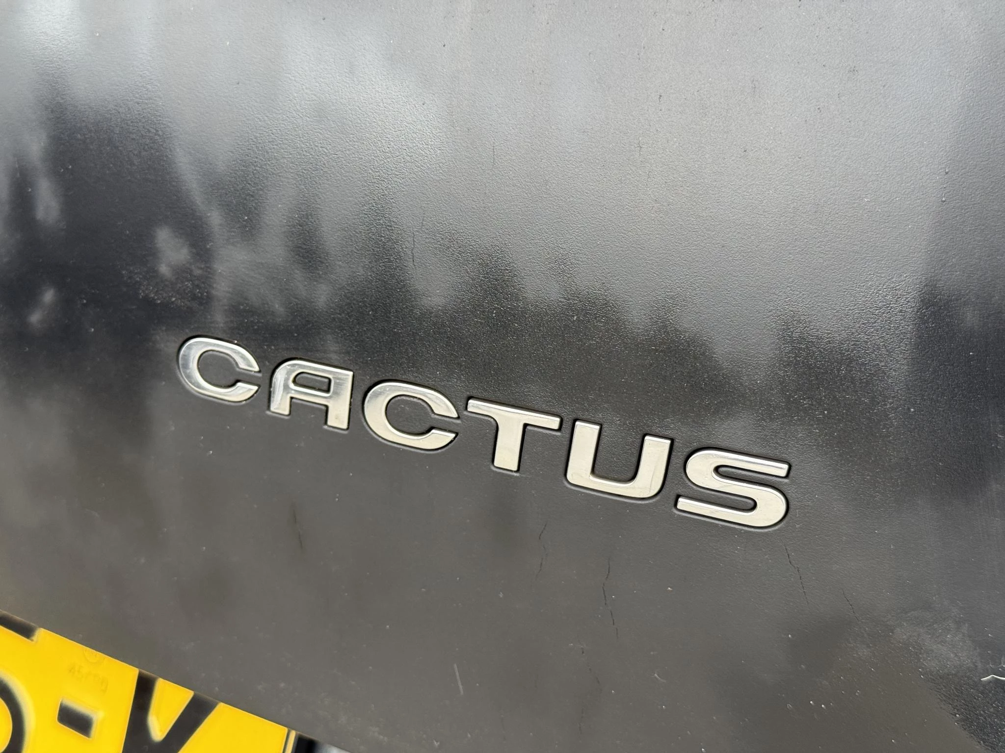 Hoofdafbeelding Citroën C4 Cactus