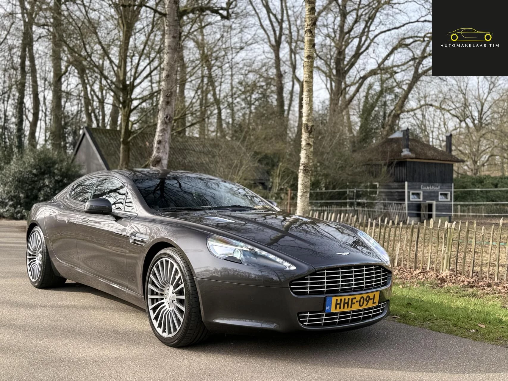 Hoofdafbeelding Aston Martin Rapide