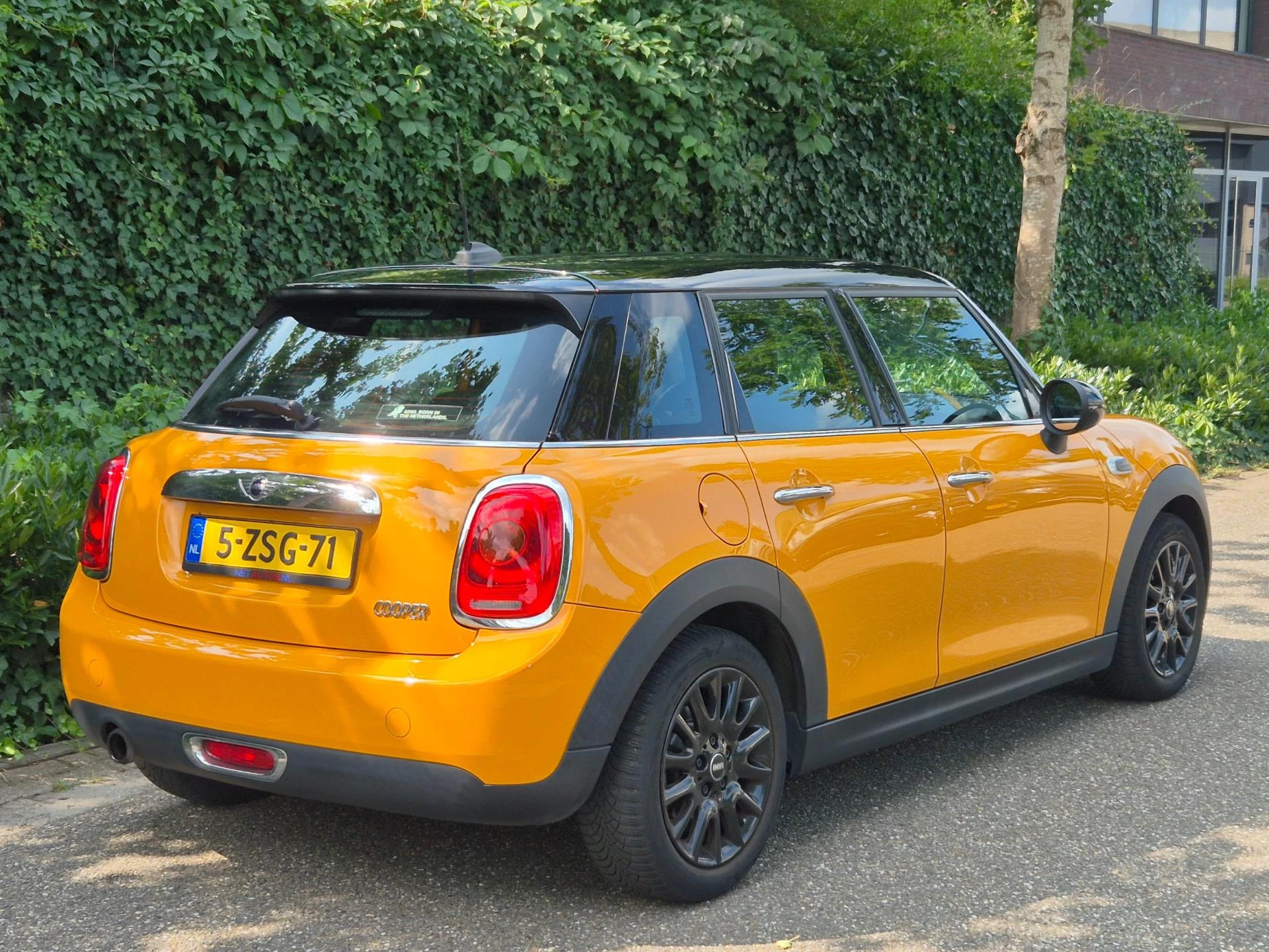 Hoofdafbeelding MINI Cooper