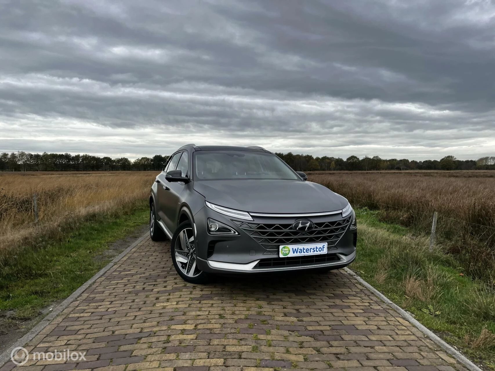 Hoofdafbeelding Hyundai Nexo