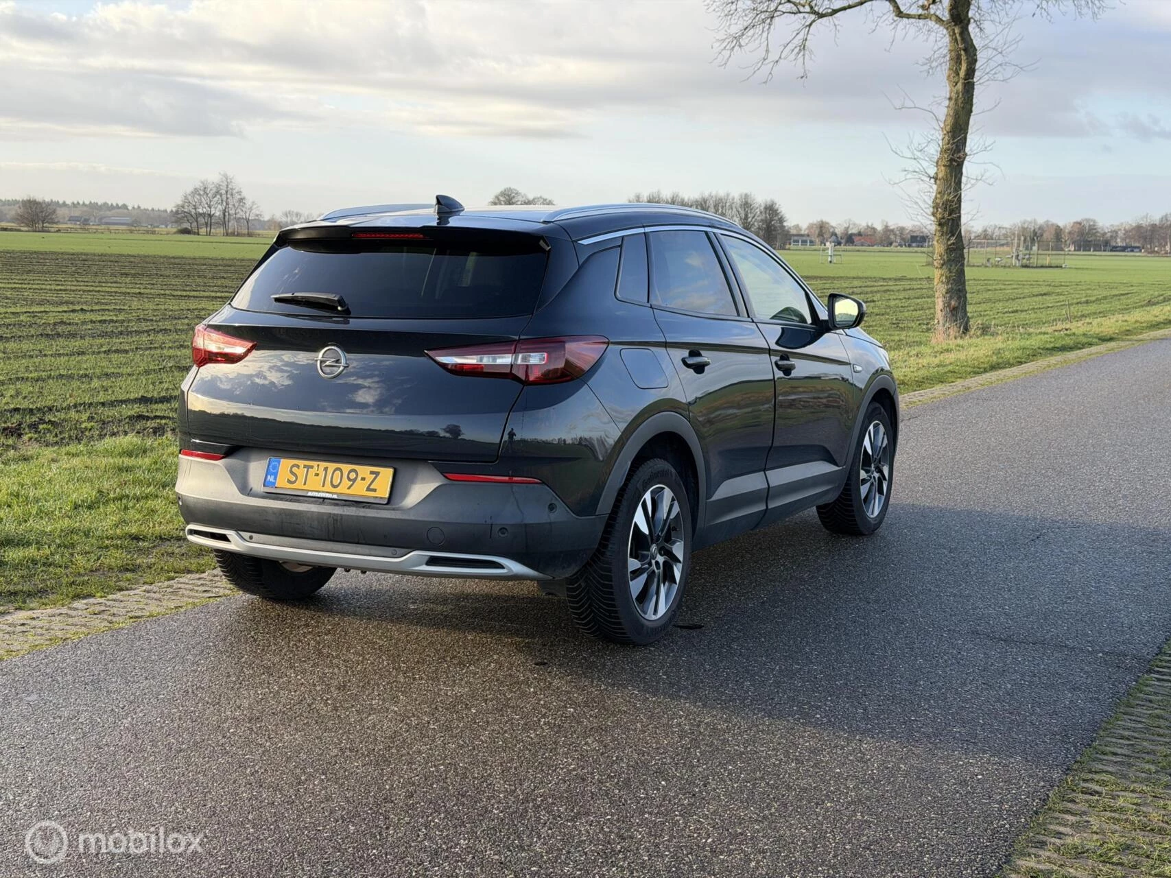Hoofdafbeelding Opel Grandland X