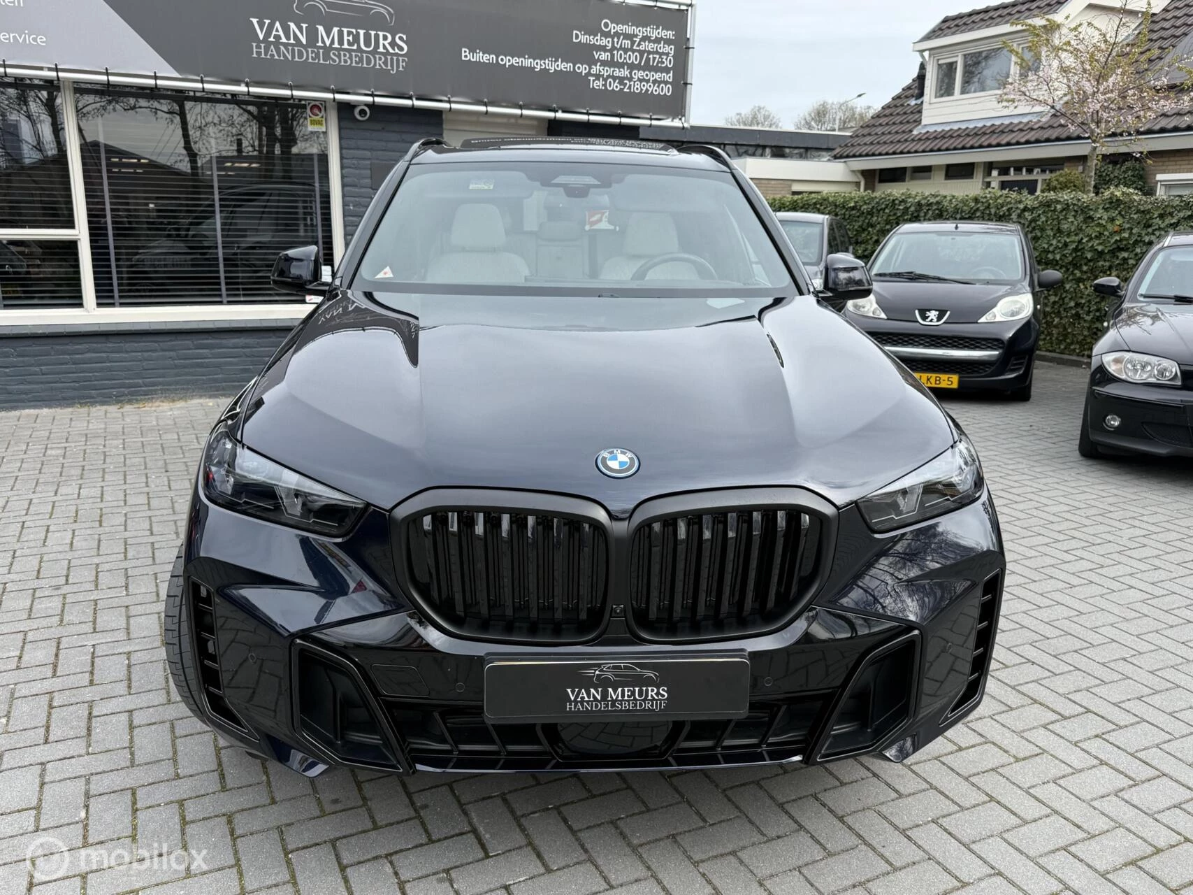 Hoofdafbeelding BMW X5