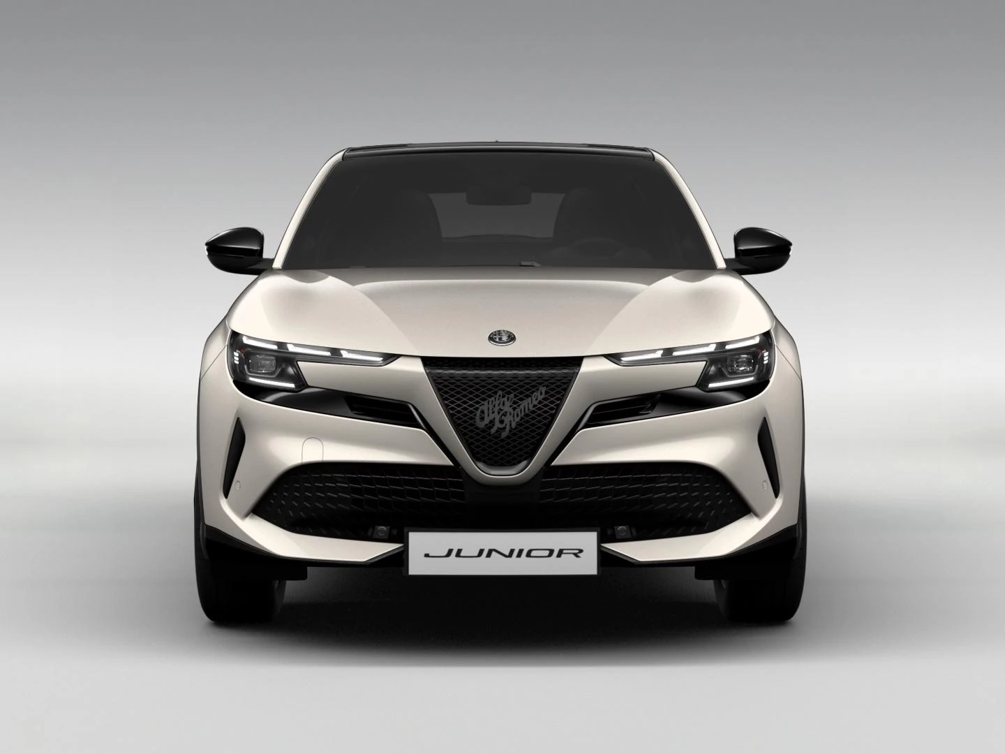 Hoofdafbeelding Alfa Romeo Junior