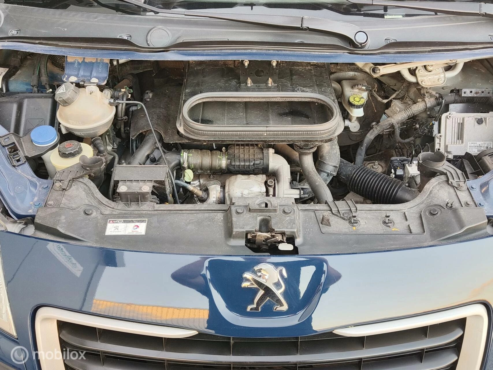 Hoofdafbeelding Peugeot Expert
