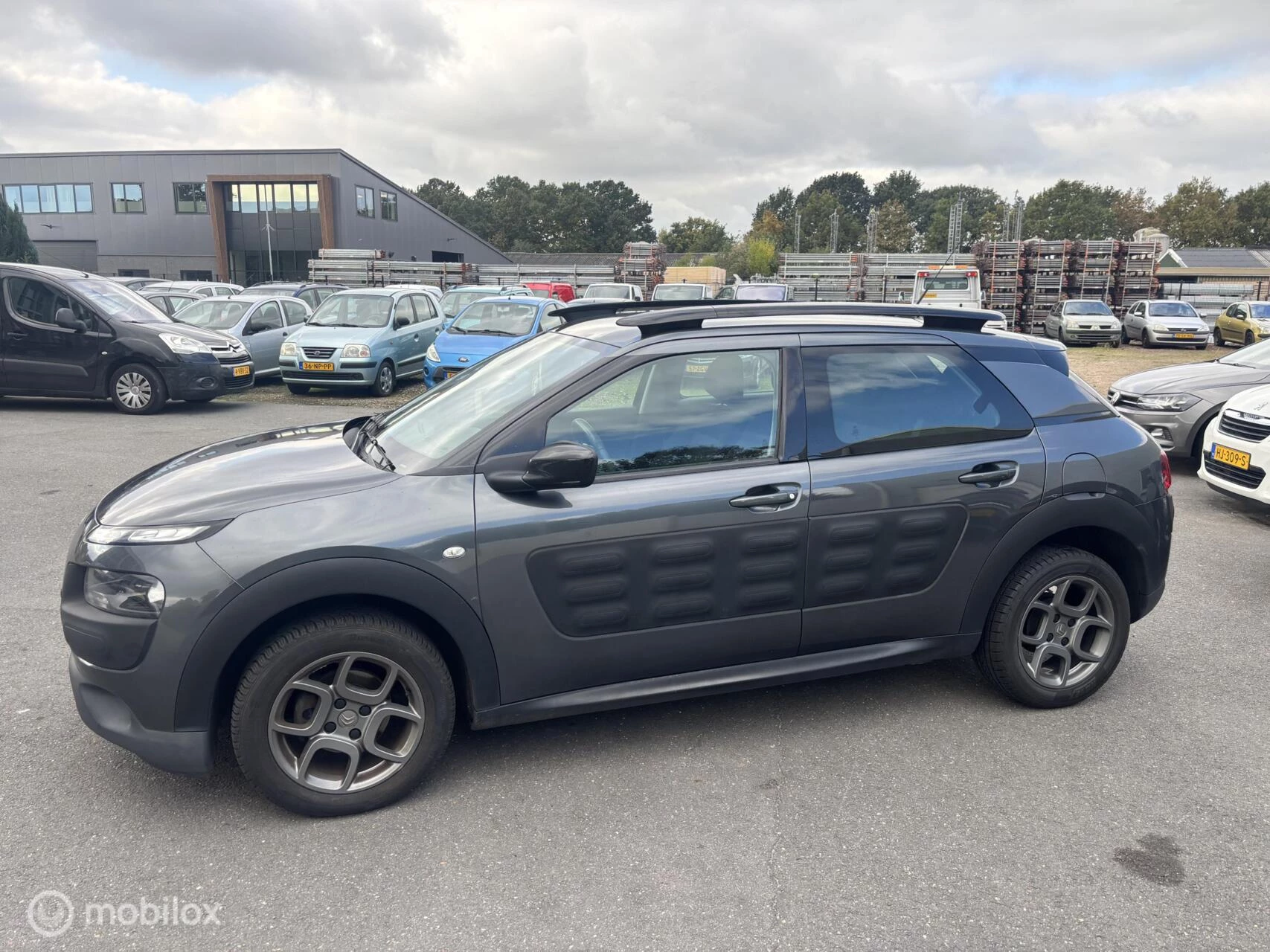 Hoofdafbeelding Citroën C4 Cactus