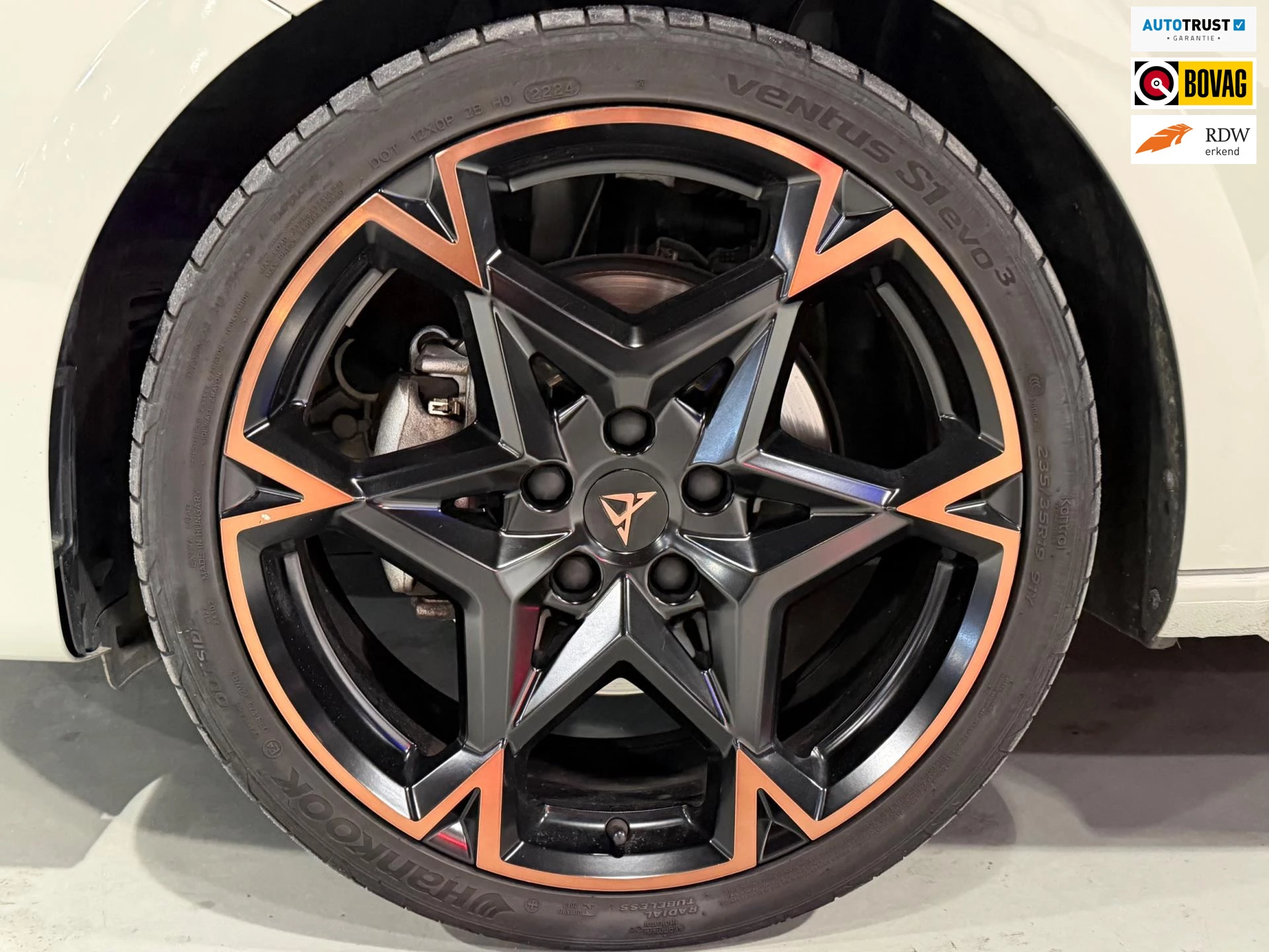 Hoofdafbeelding CUPRA Leon