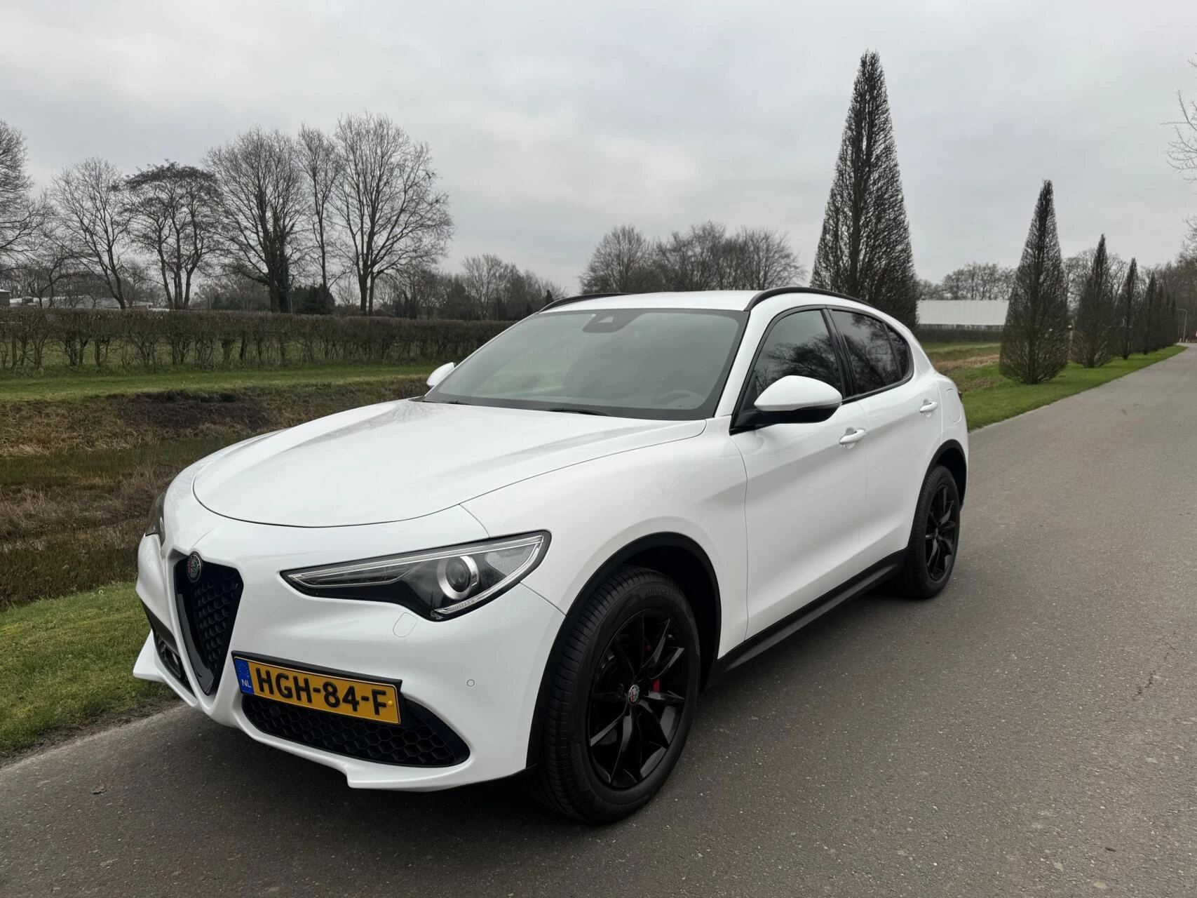 Hoofdafbeelding Alfa Romeo Stelvio