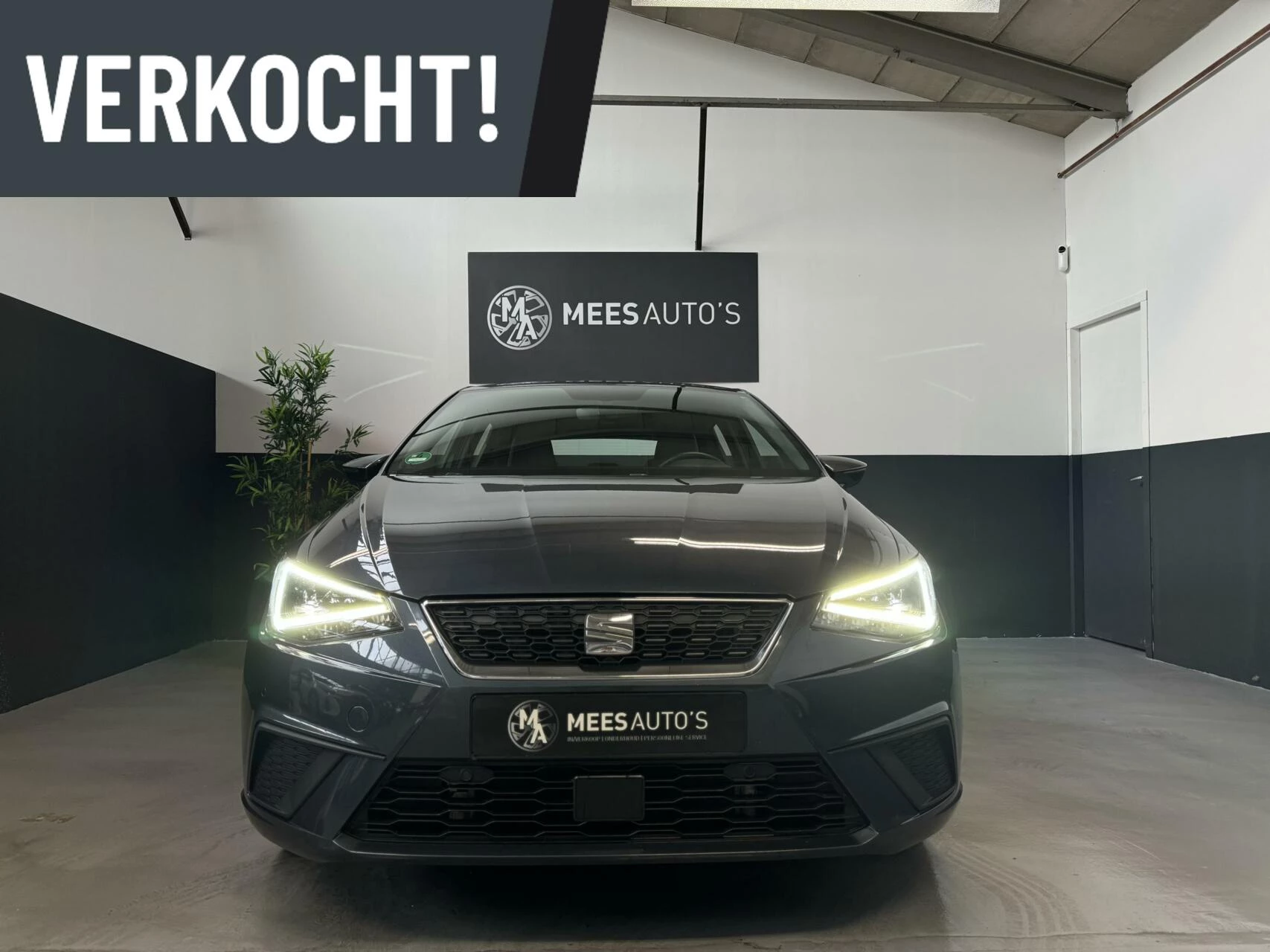 Hoofdafbeelding SEAT Ibiza