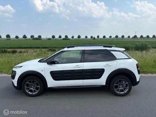 Hoofdafbeelding Citroën C4 Cactus